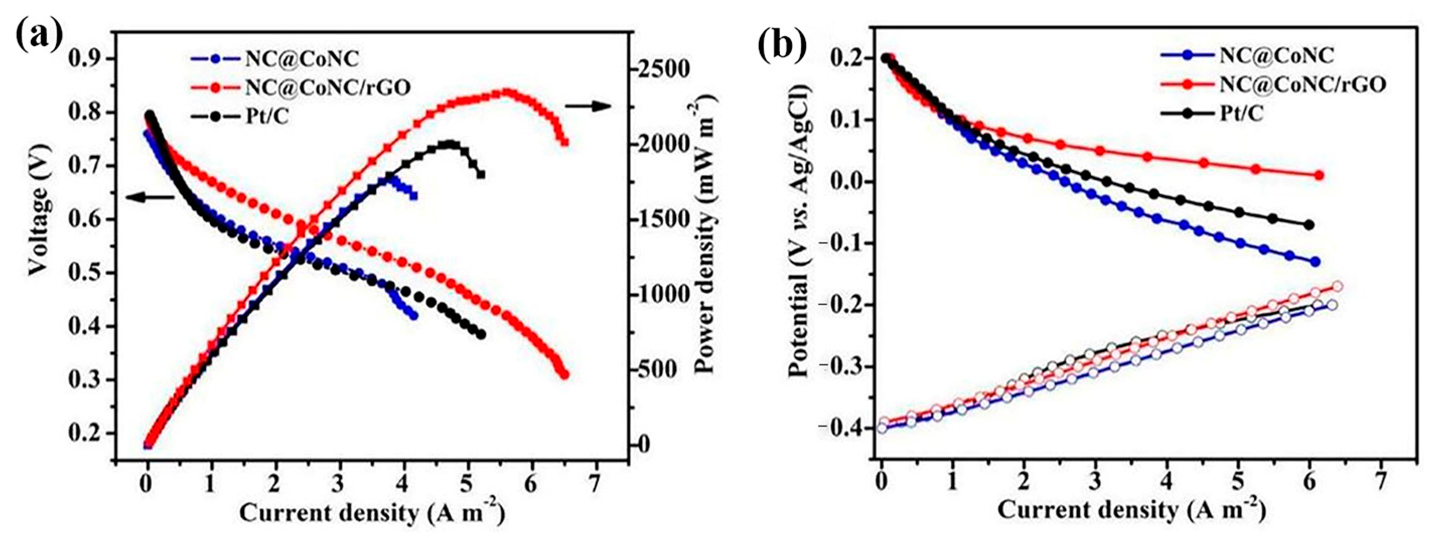 Molecules 30 00981 g012