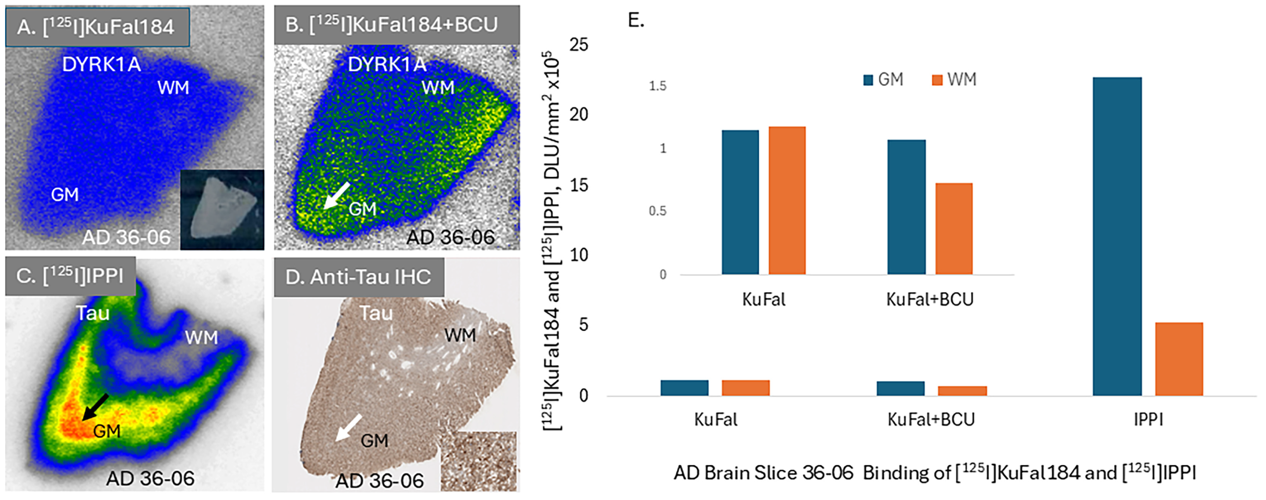 Molecules 30 00990 g008