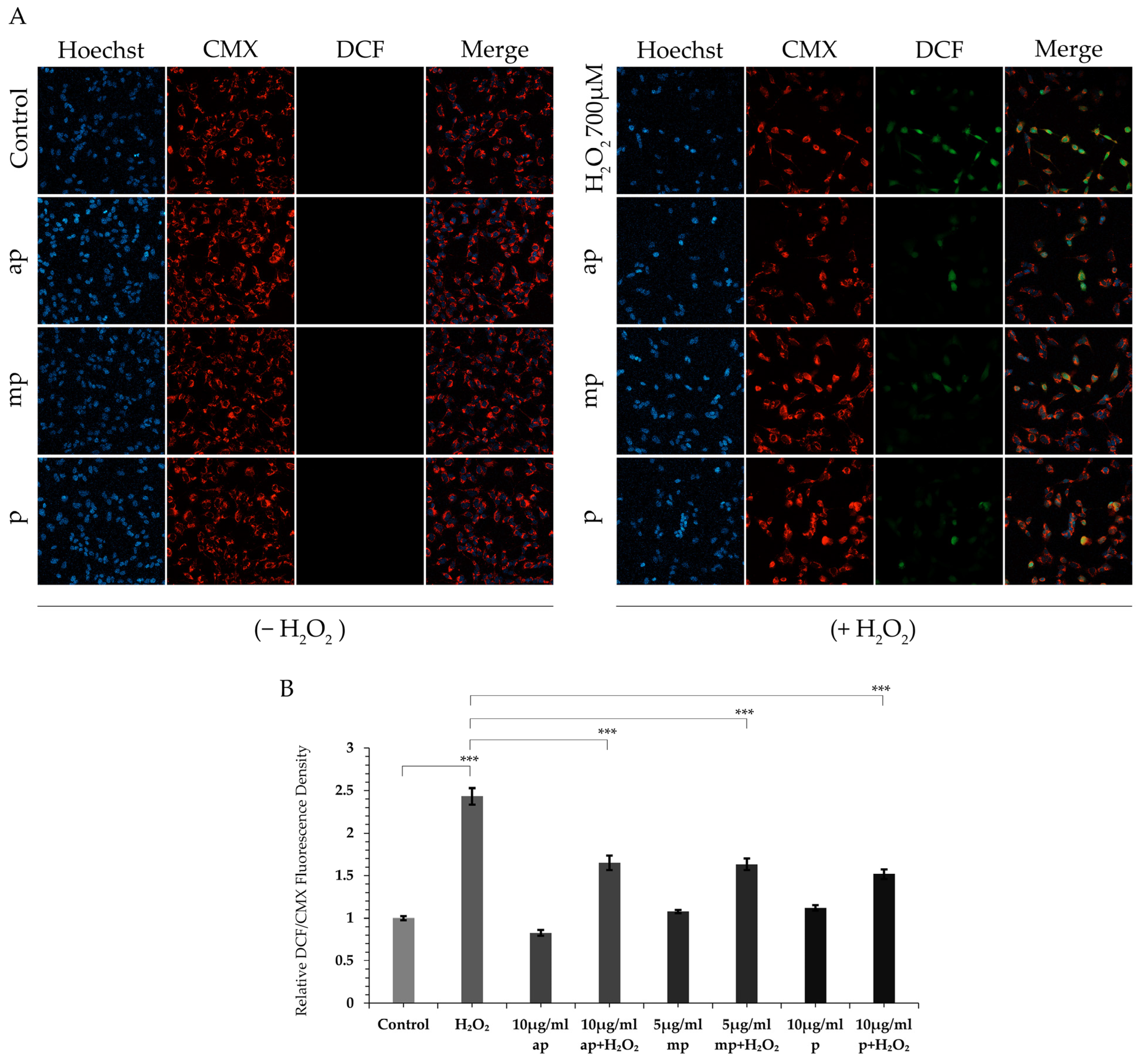 Molecules 30 00997 g002
