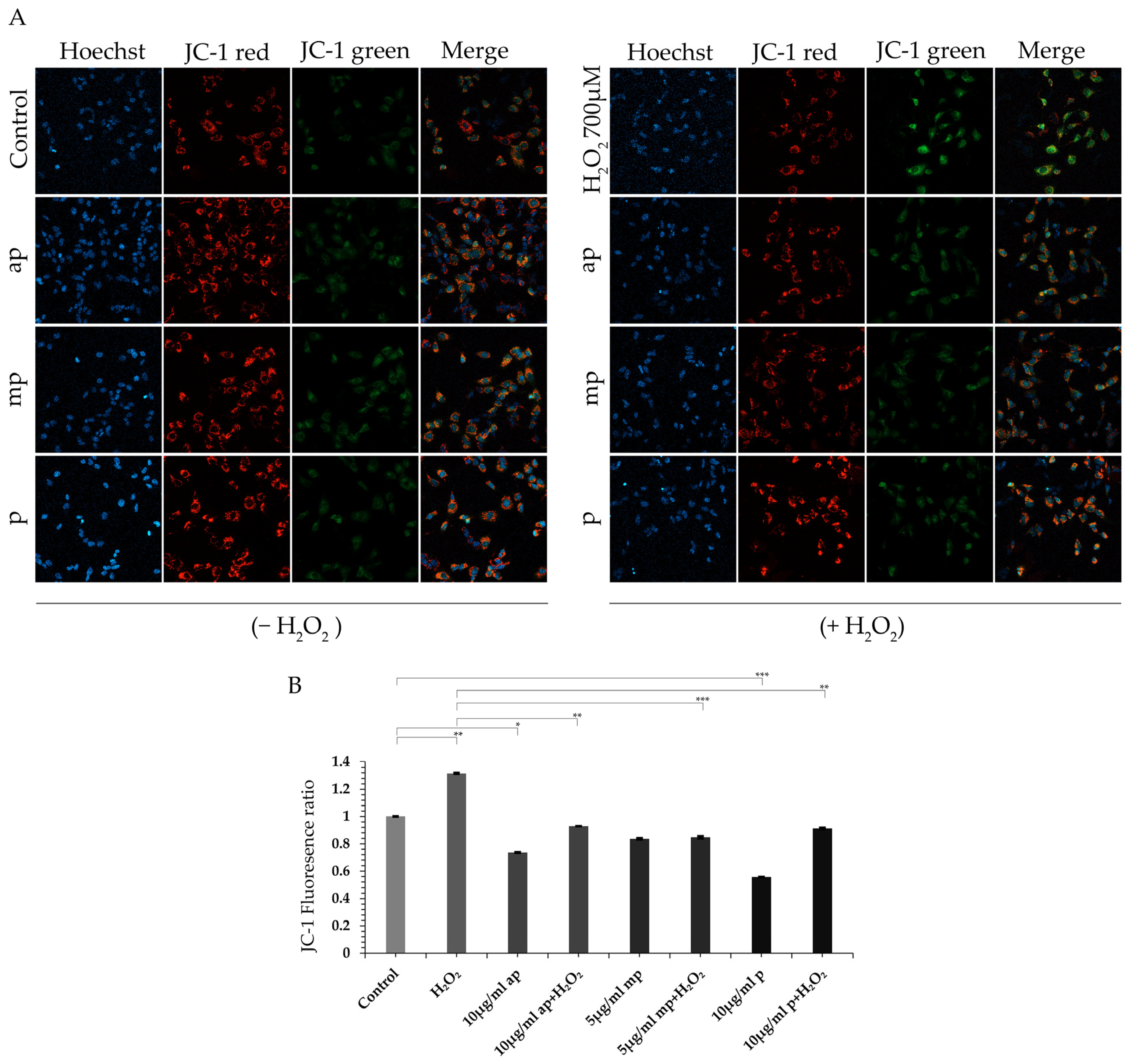 Molecules 30 00997 g003