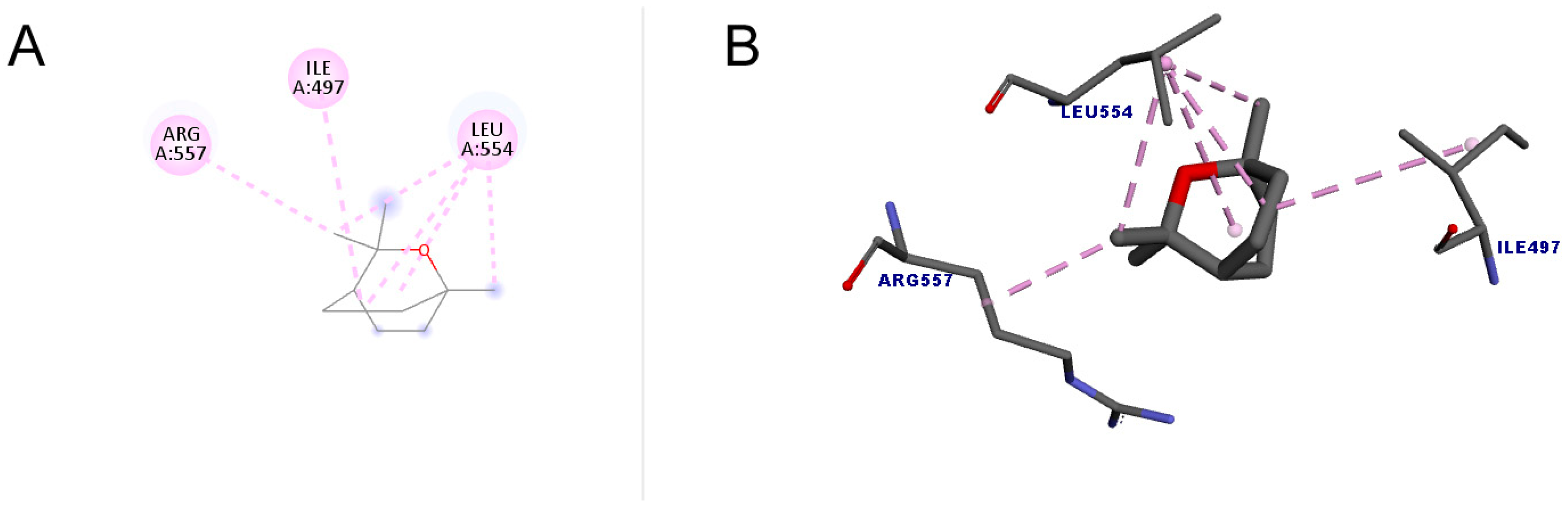 Molecules 30 01023 g005