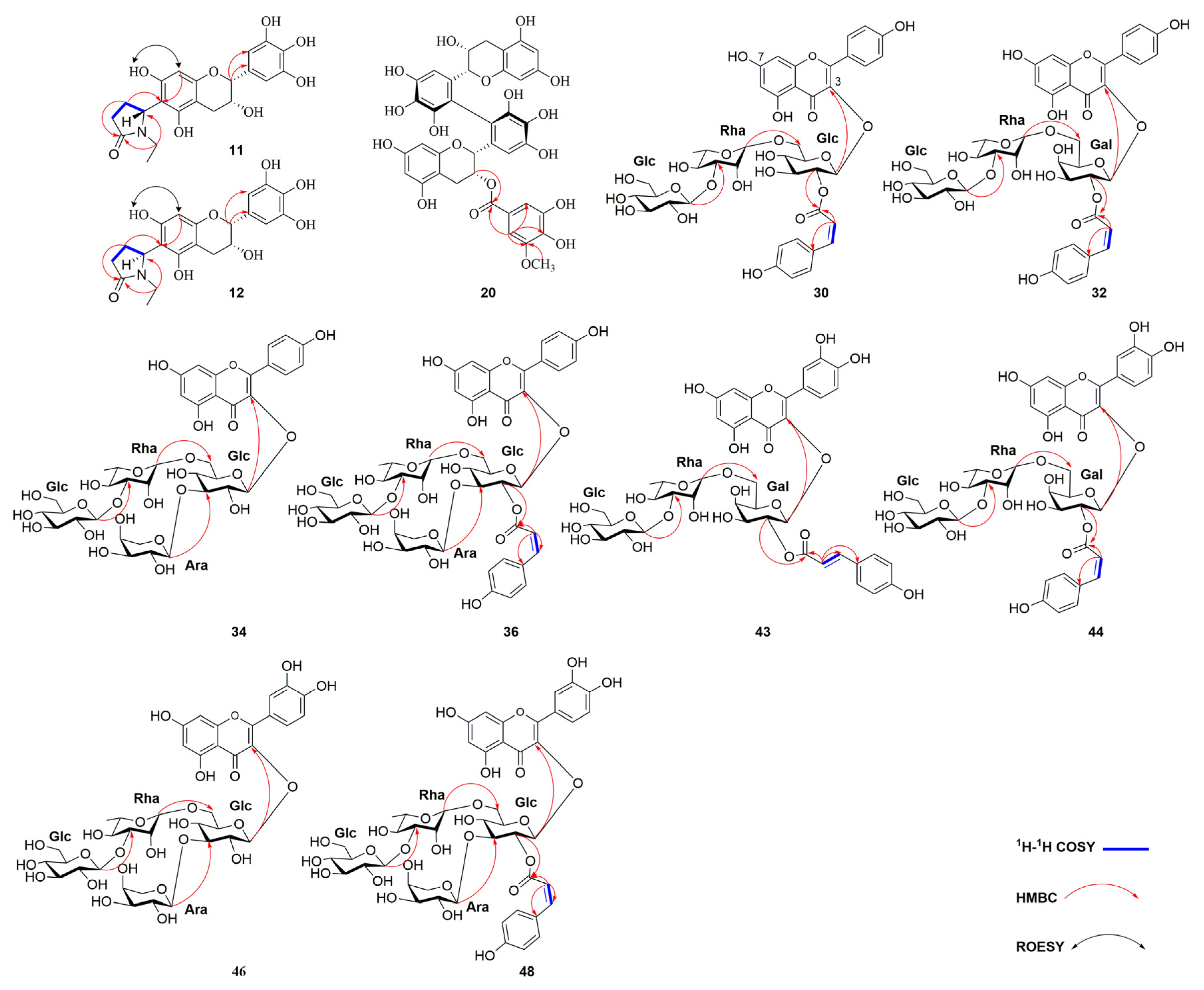 Molecules 30 01024 g003