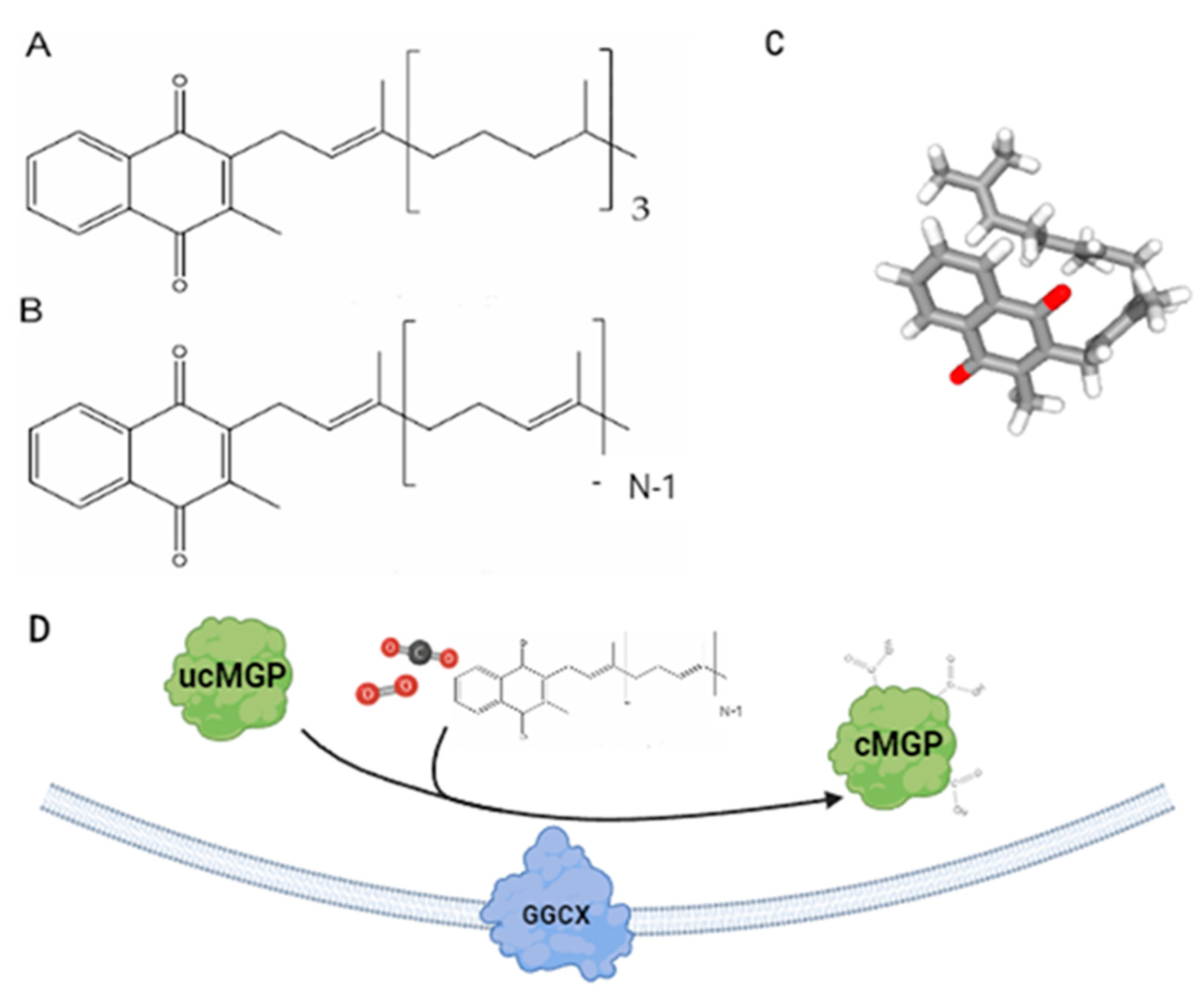 Molecules 30 01027 g001