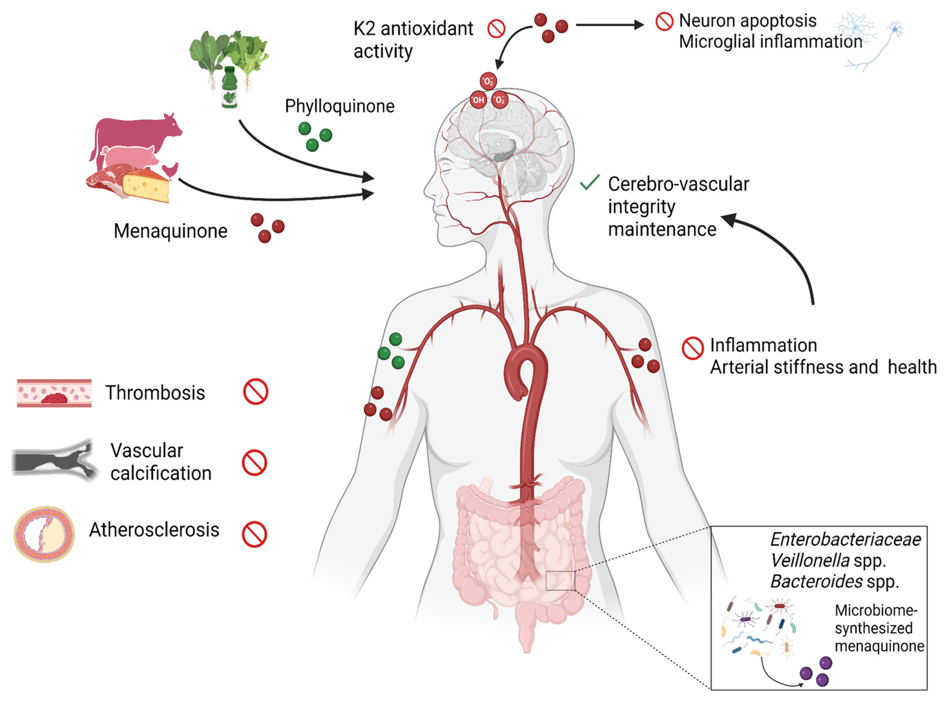 Molecules 30 01027 g002