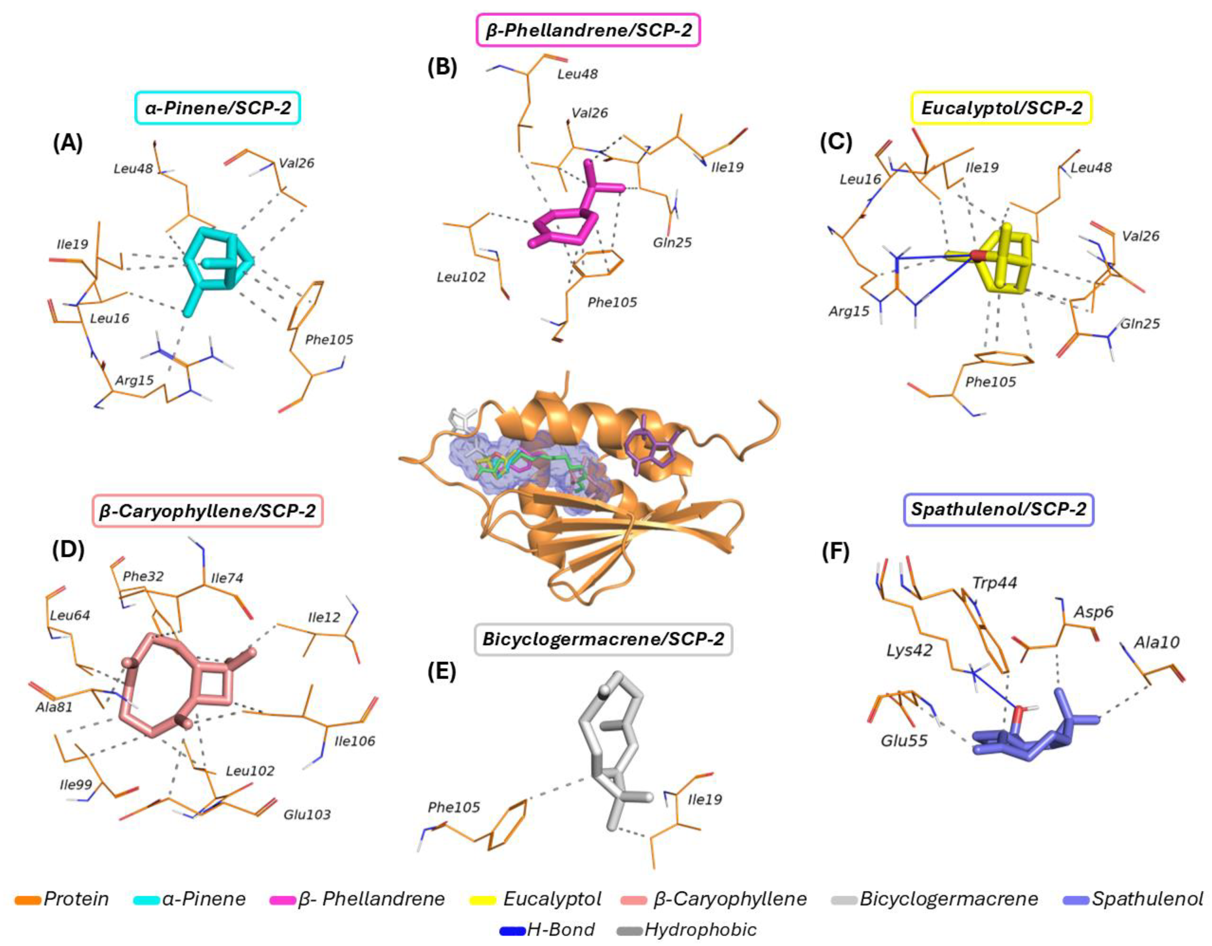 Molecules 30 01034 g004