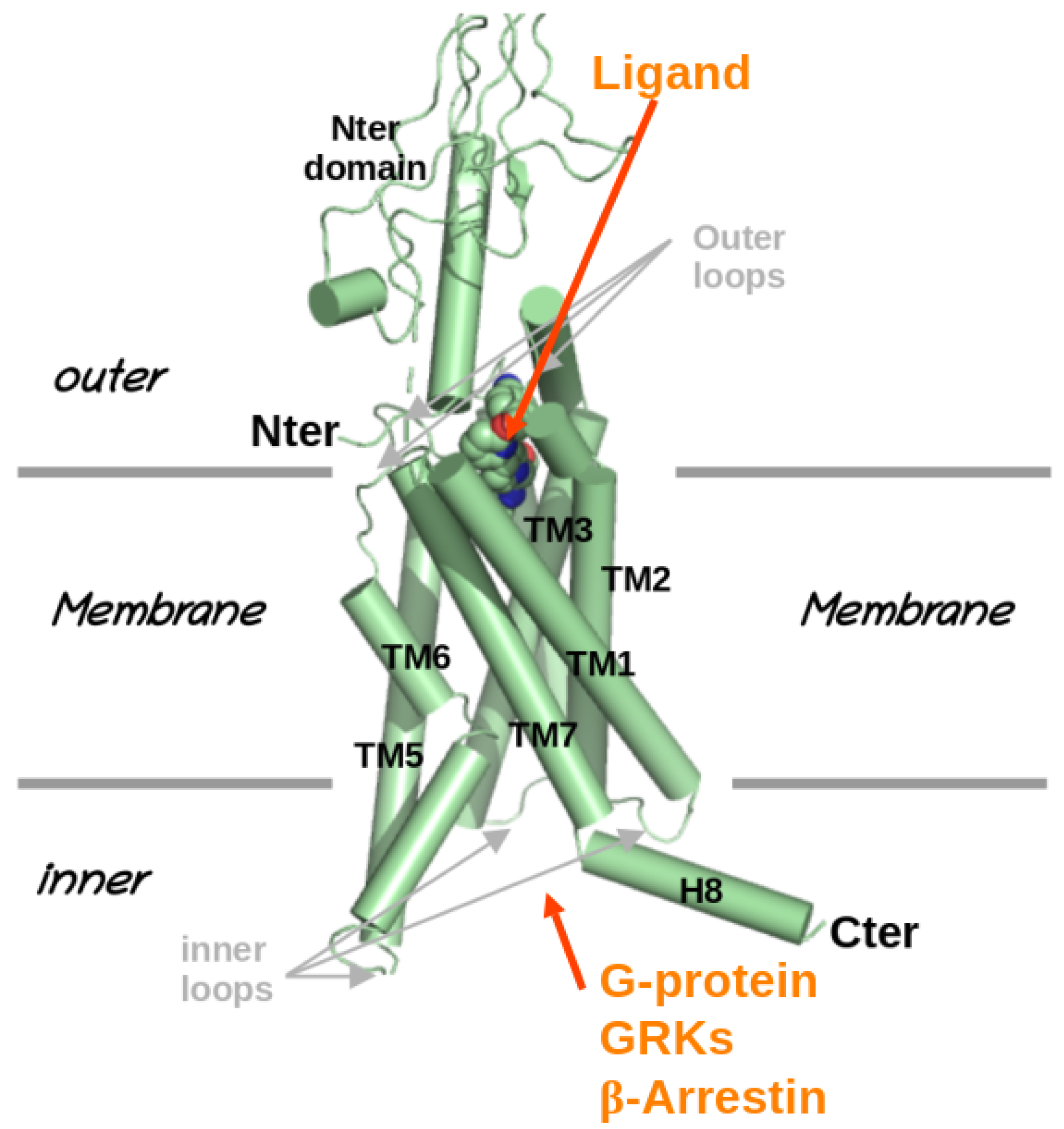 Molecules 30 01047 g001