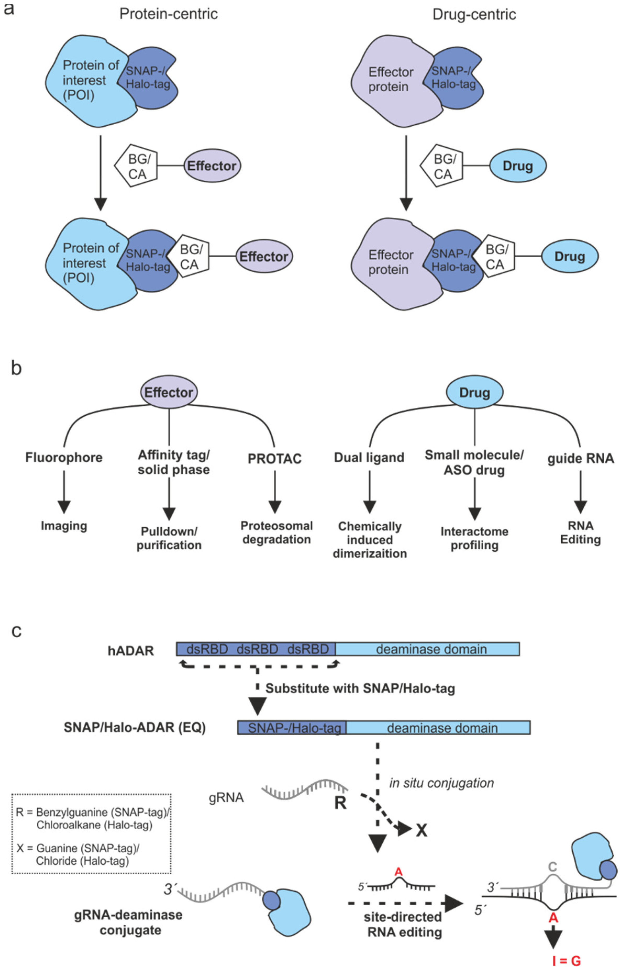 Molecules 30 01049 g001
