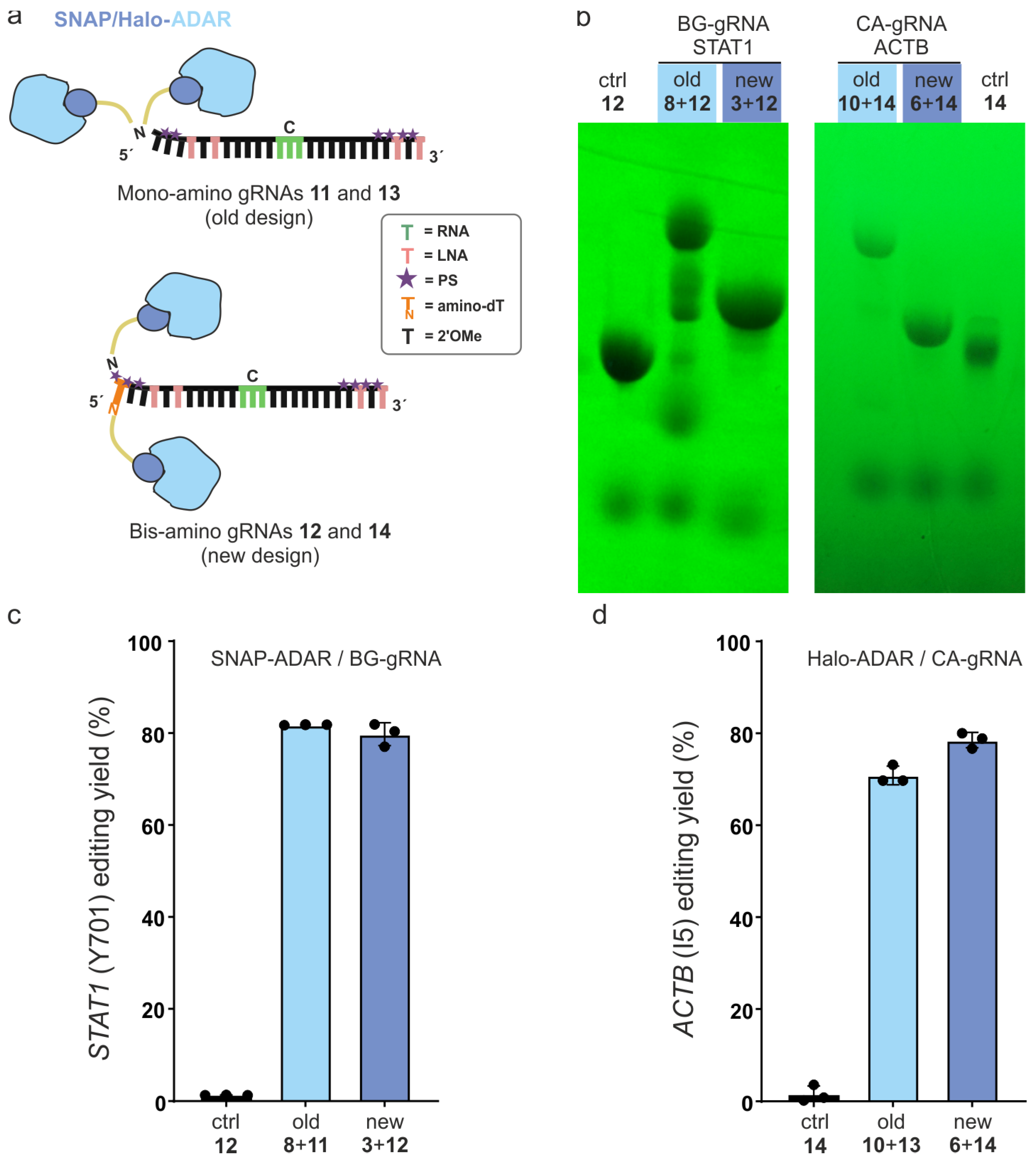 Molecules 30 01049 g003