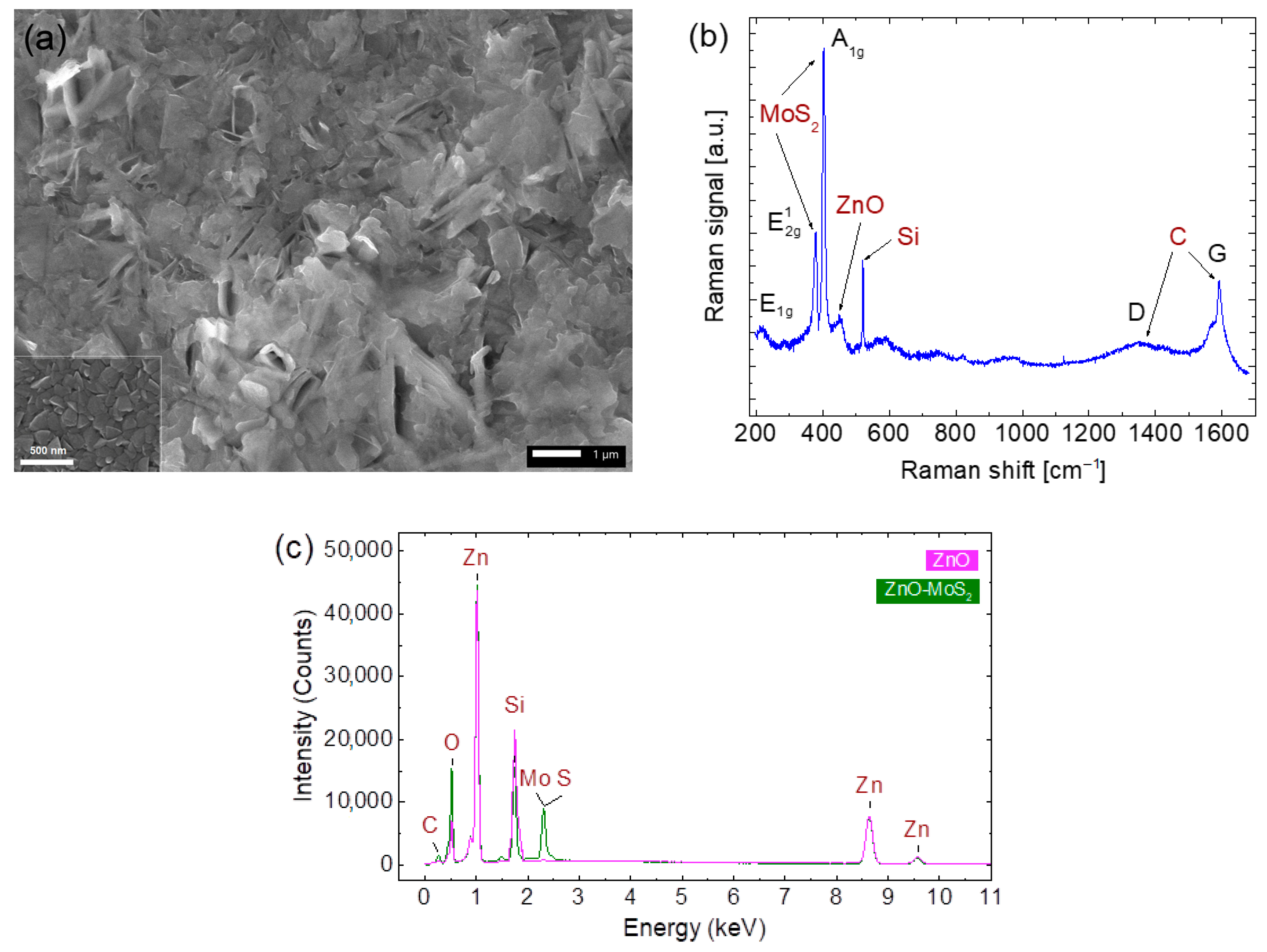 Molecules 30 01063 g001