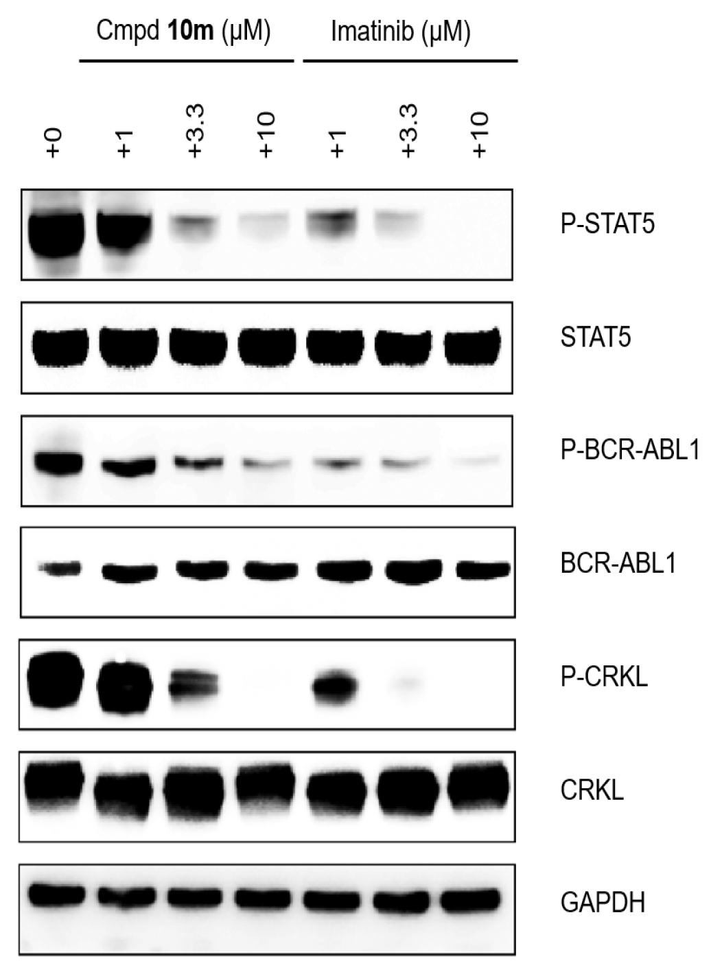 Molecules 30 01065 g005 Molecules 30 01065 g005