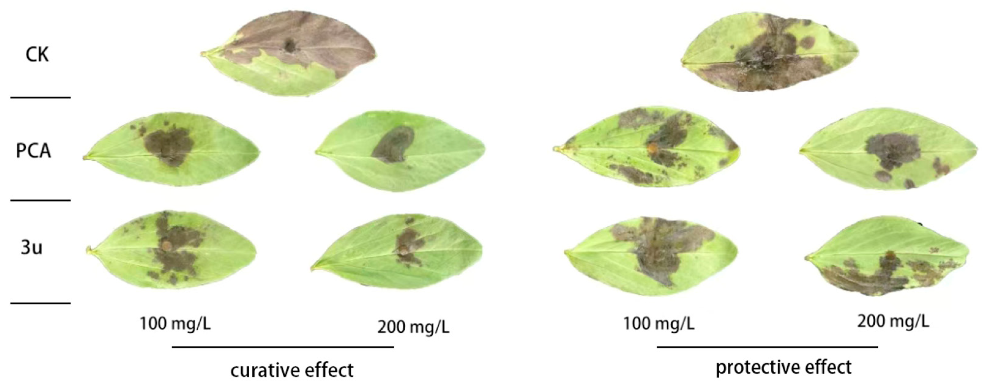 Molecules 30 01079 g002