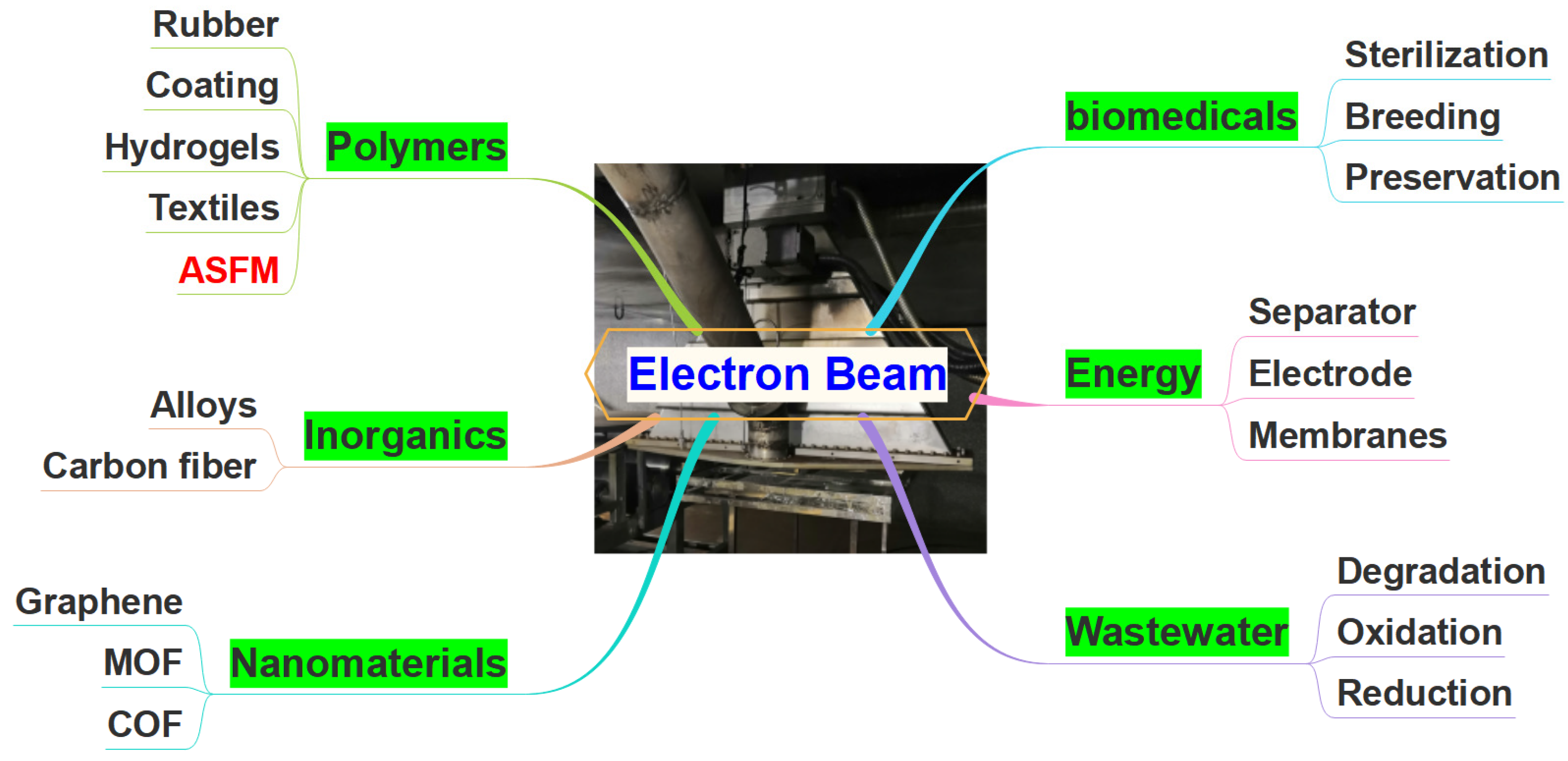 Molecules 30 01084 g001