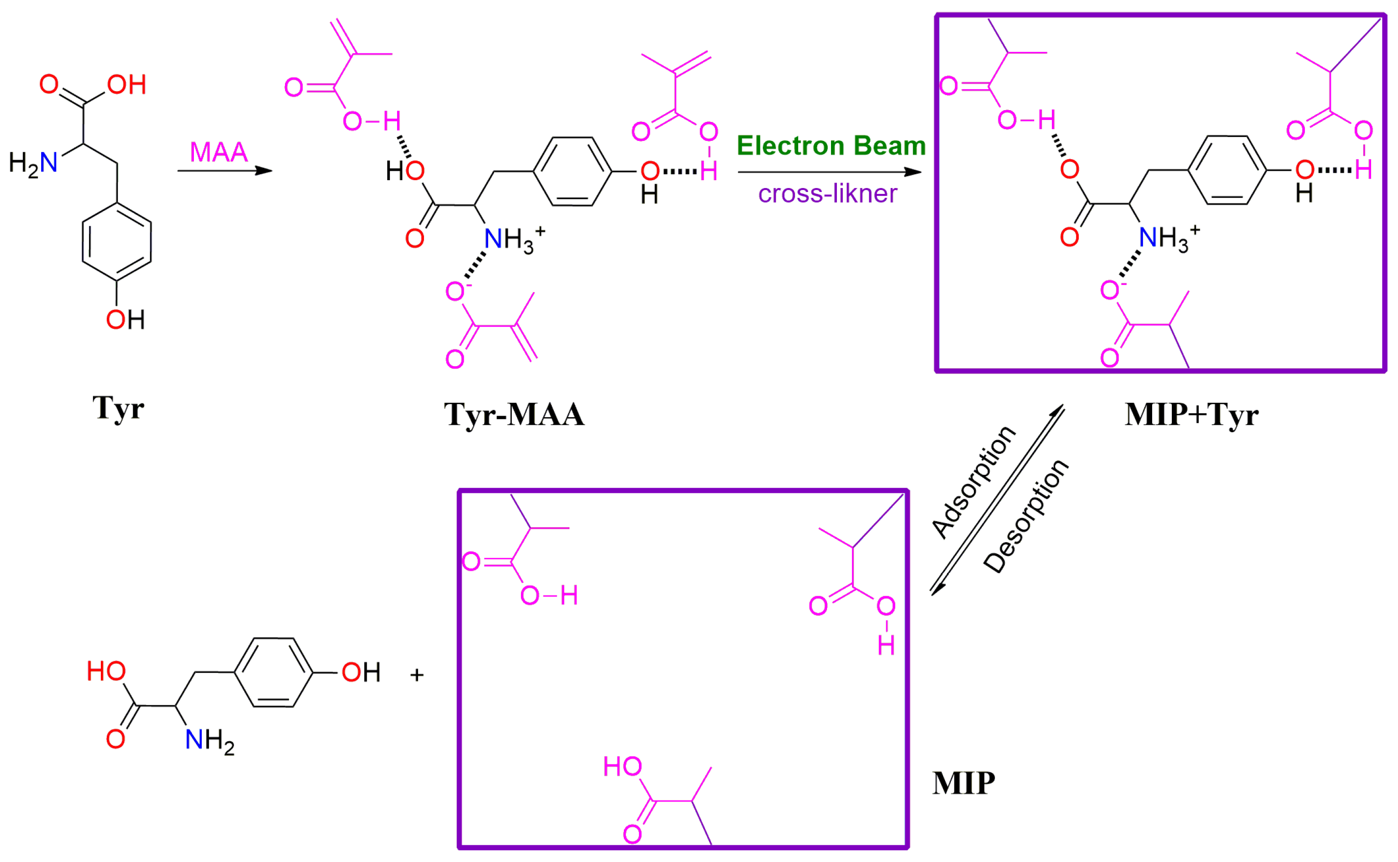 Molecules 30 01084 g005