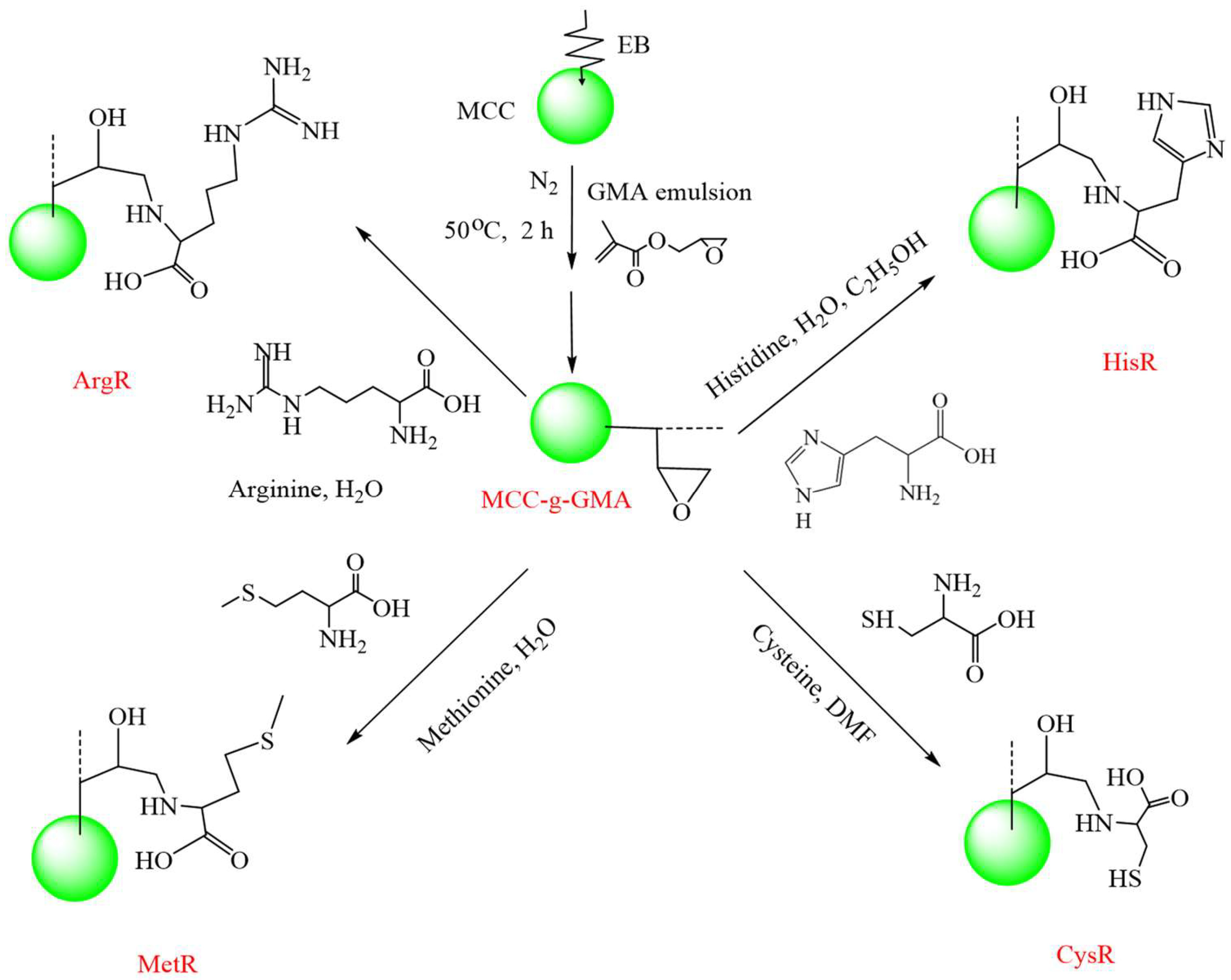 Molecules 30 01084 g007
