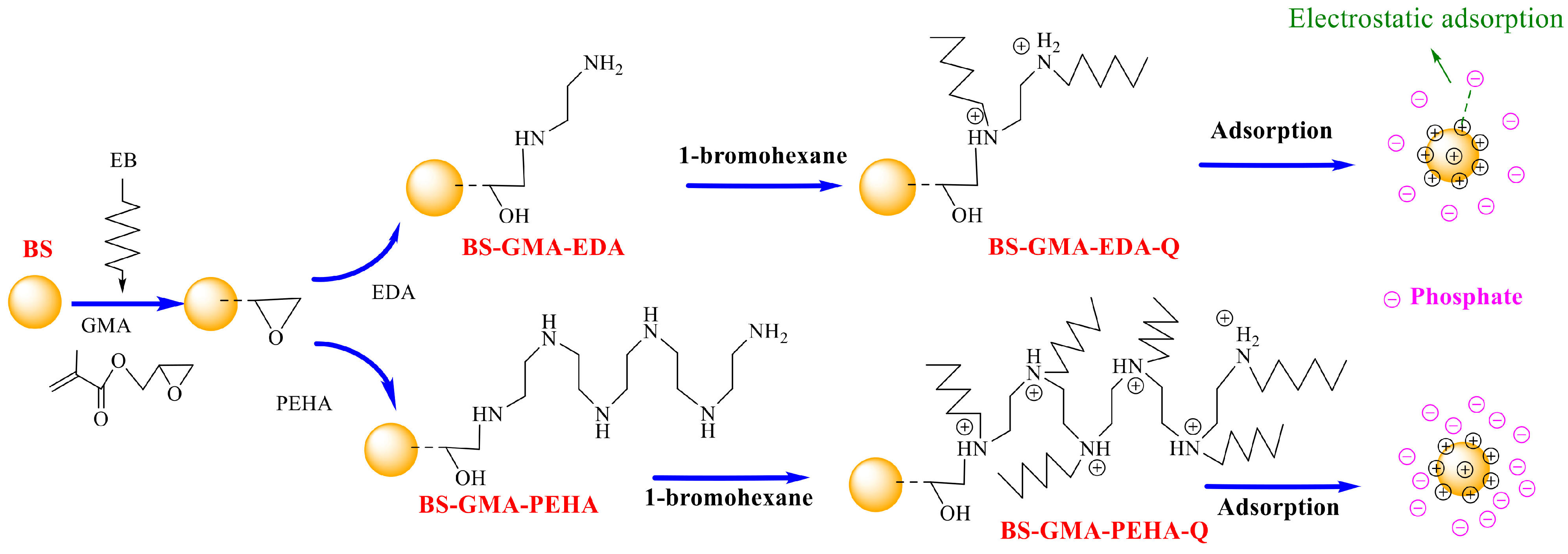Molecules 30 01084 g008