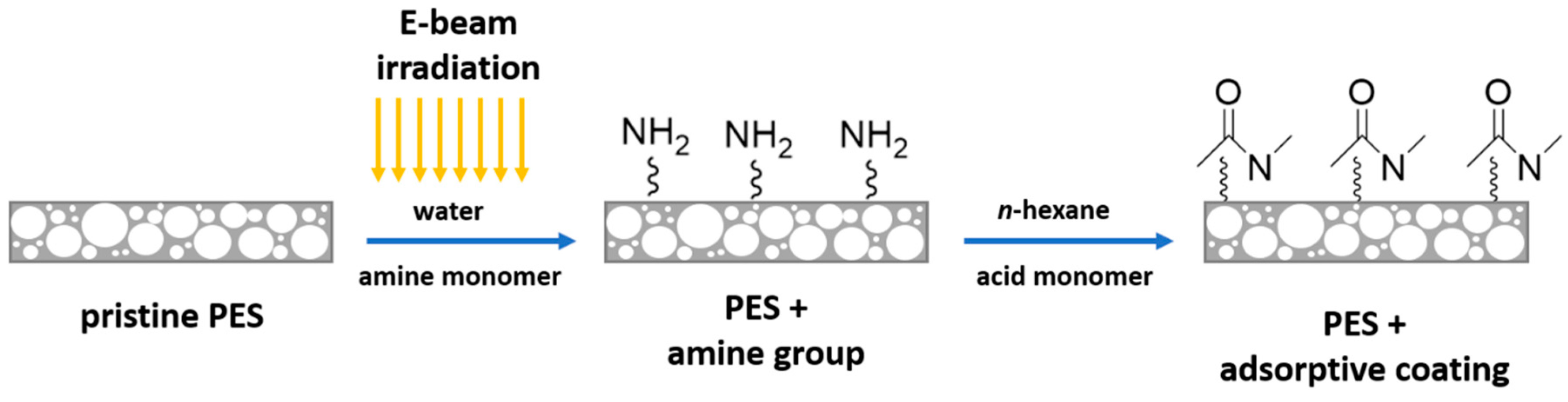 Molecules 30 01084 g009