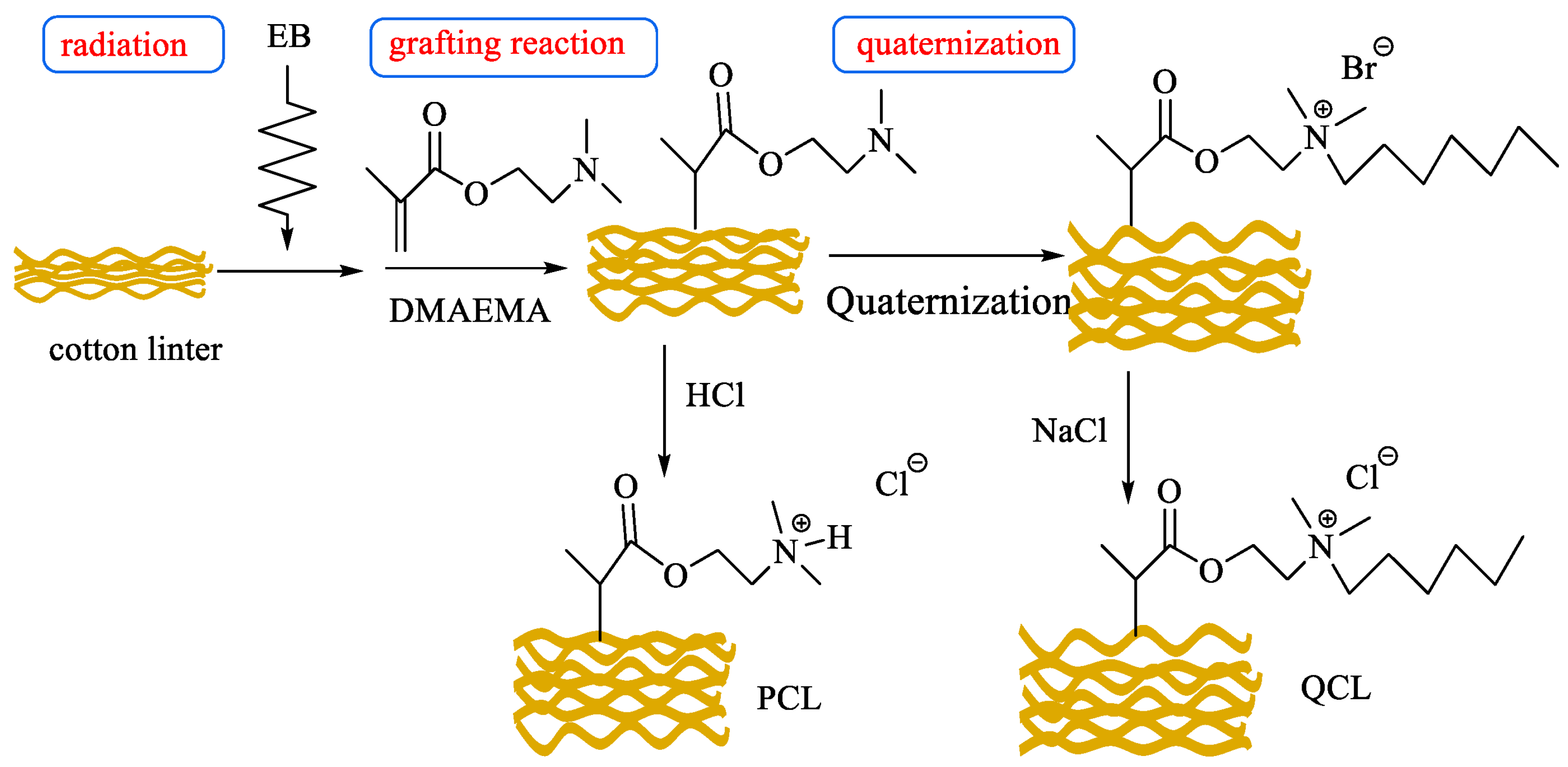 Molecules 30 01084 g010