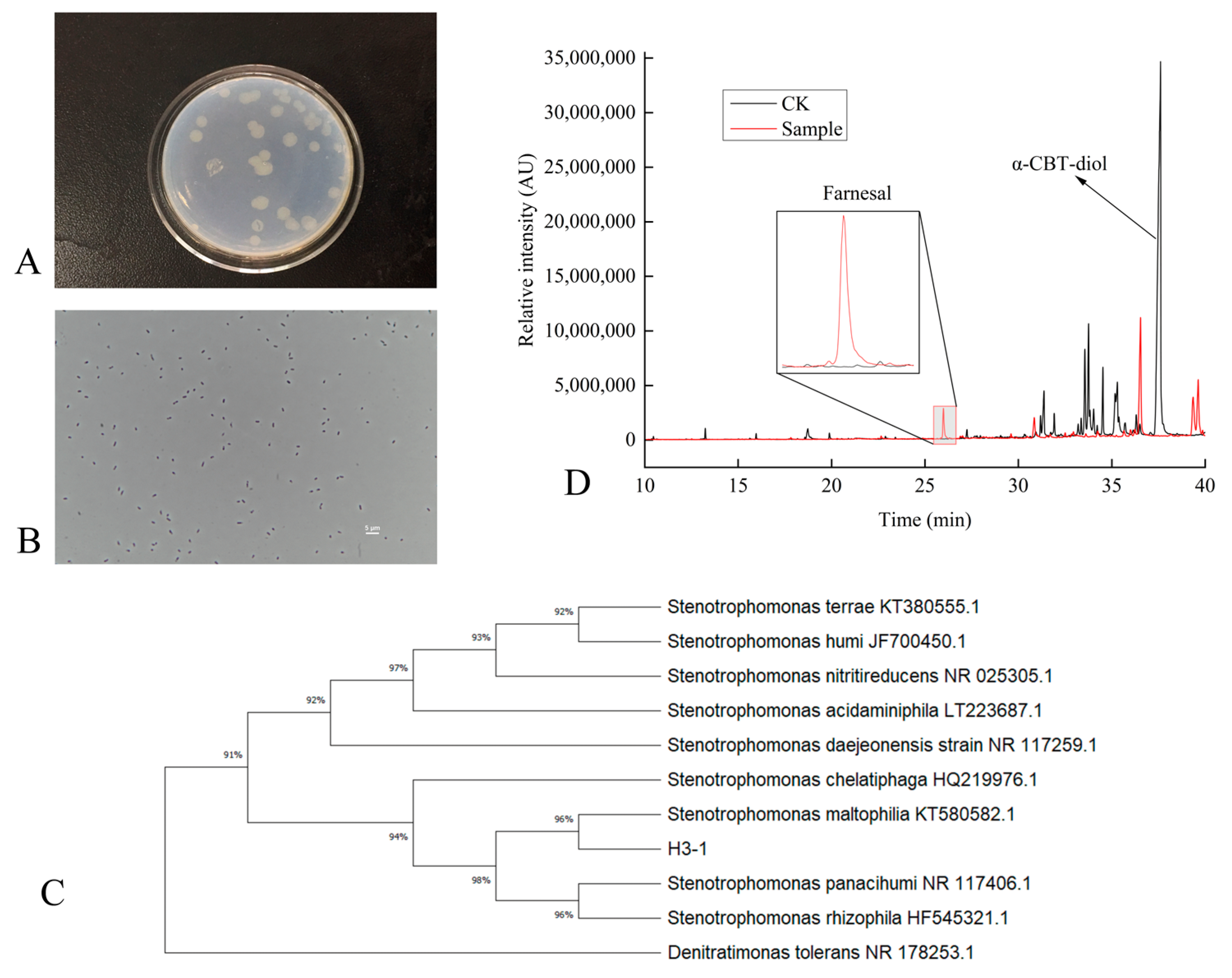 Molecules 30 01090 g001