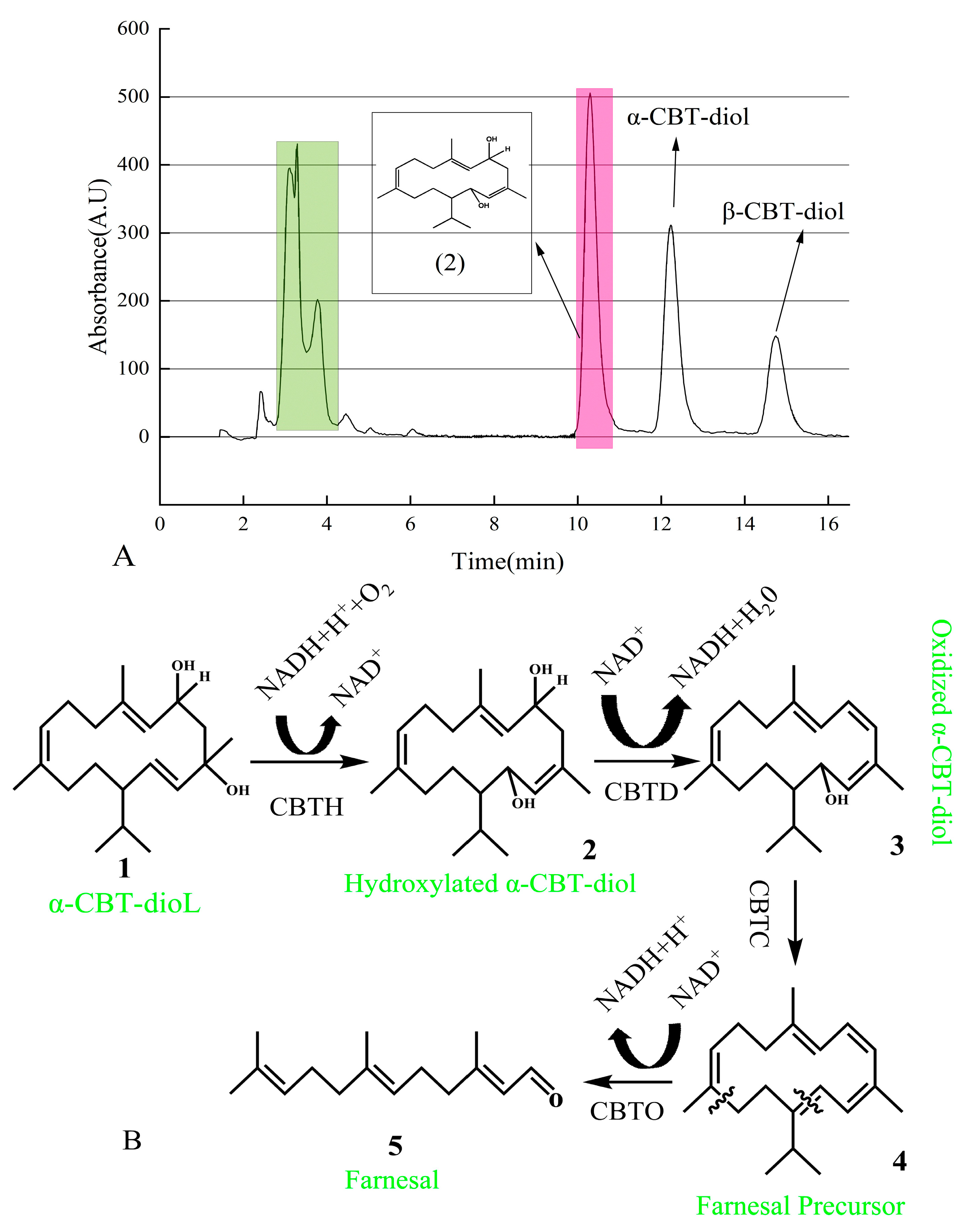 Molecules 30 01090 g006