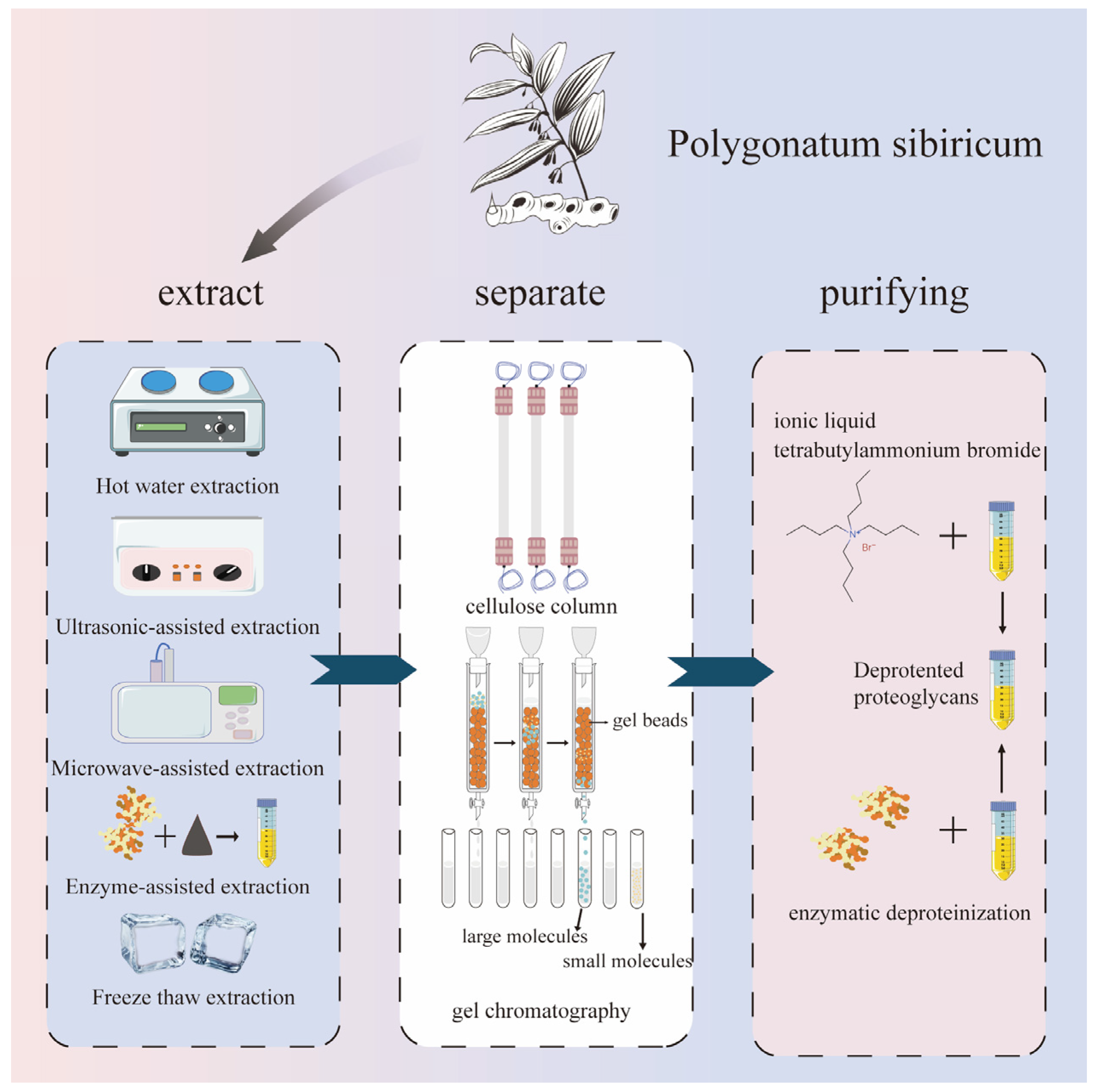 Molecules 30 01098 g002