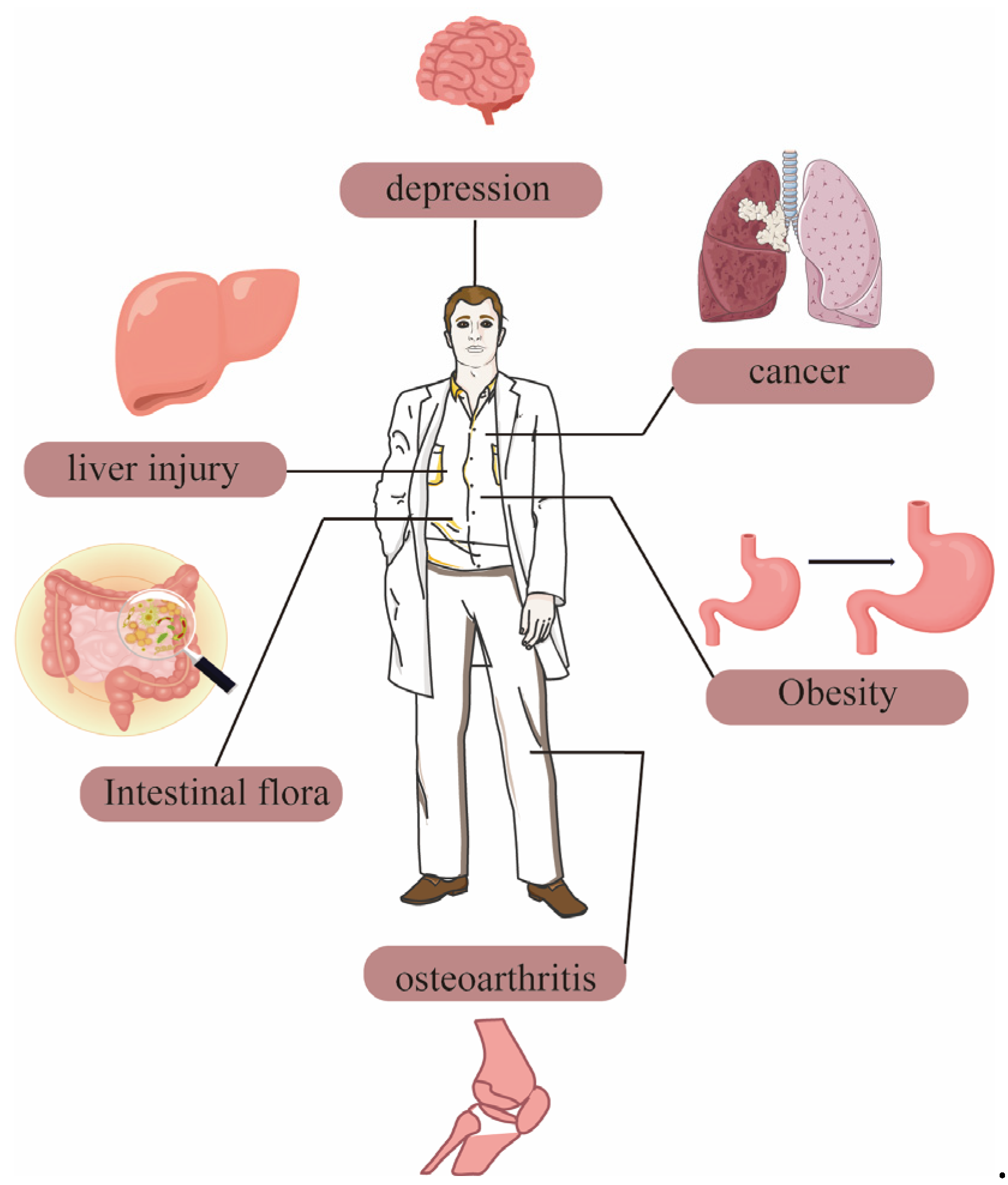 Molecules 30 01098 g004