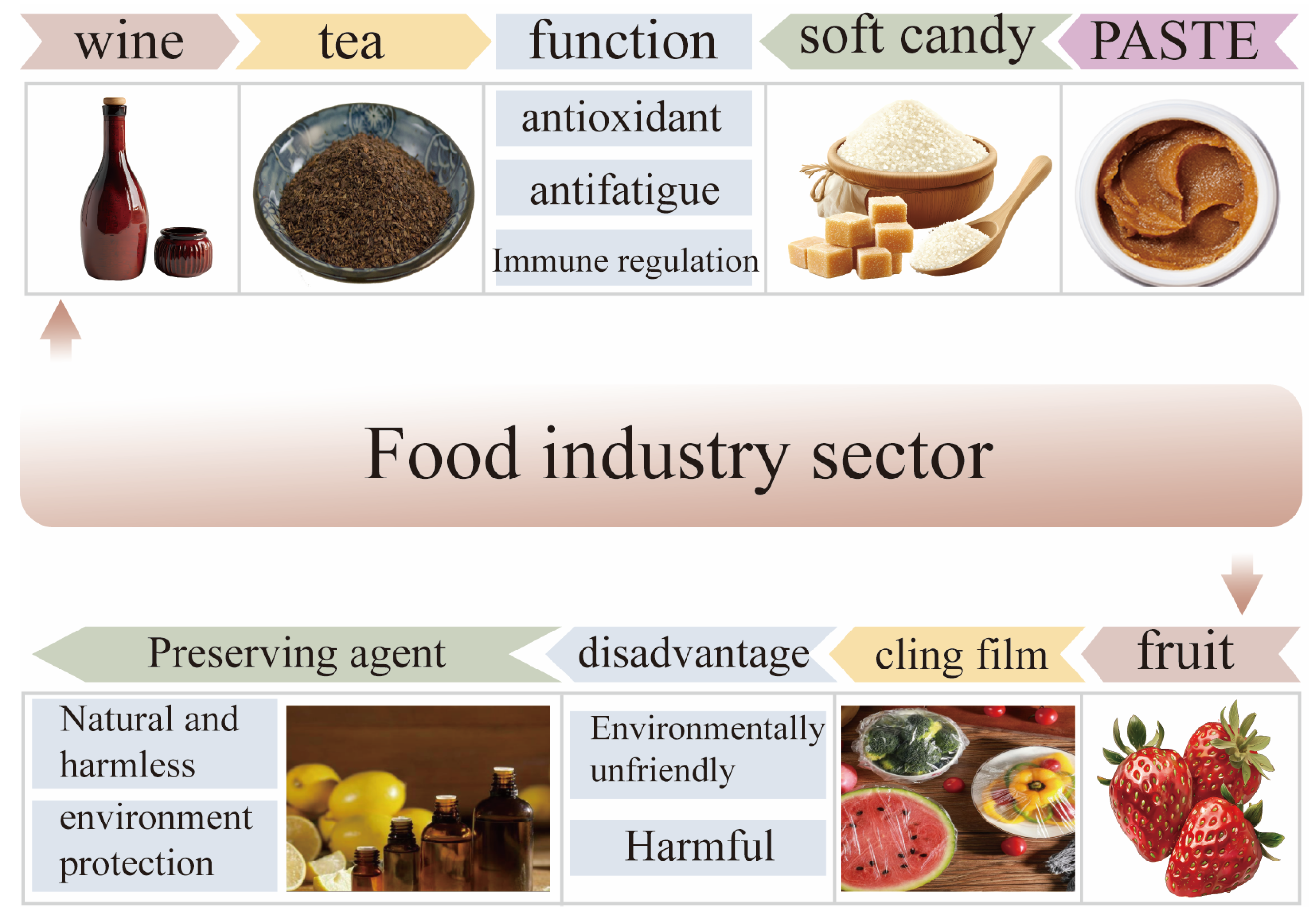 Molecules 30 01098 g006