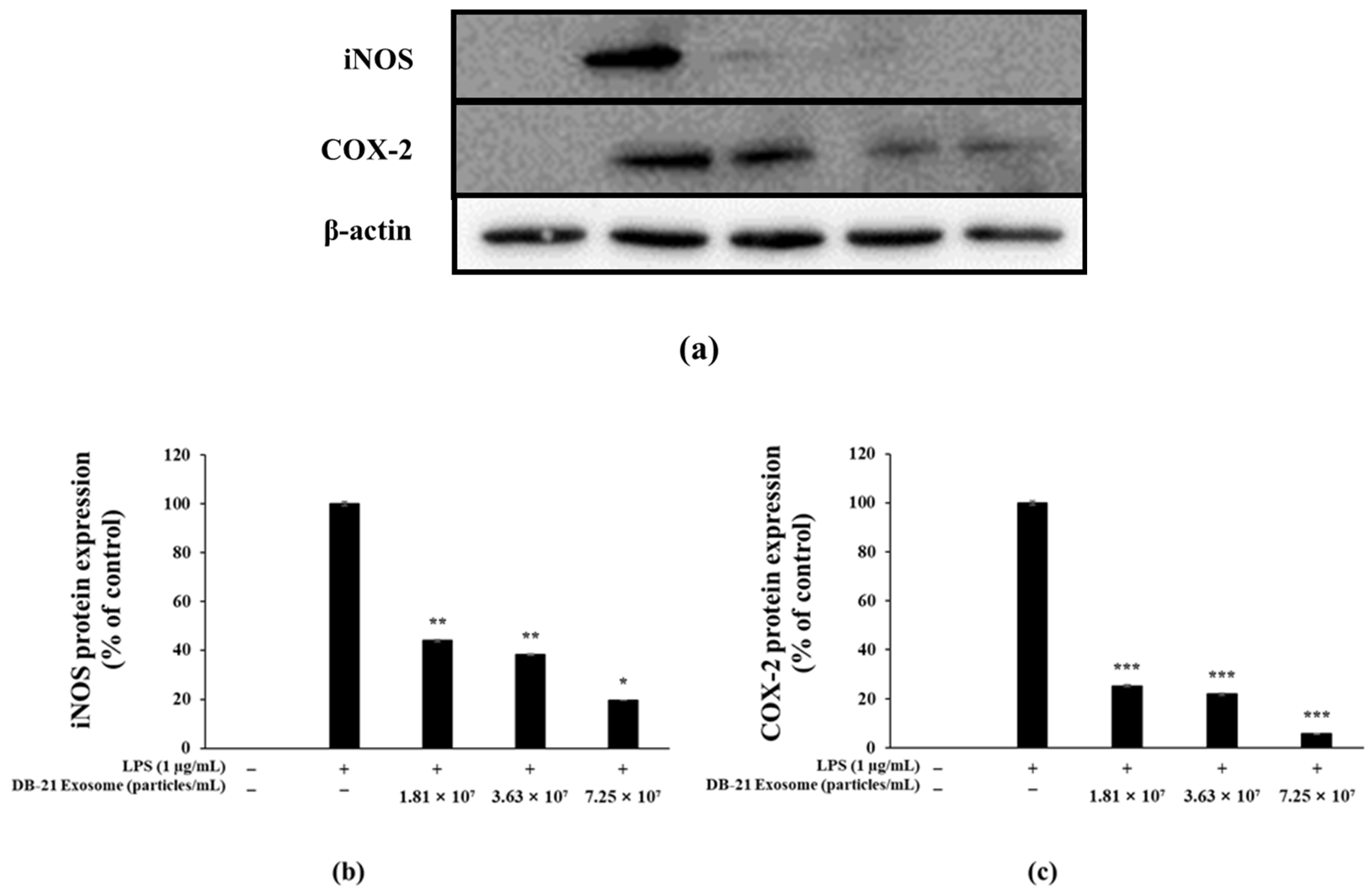 Molecules 30 01124 g008