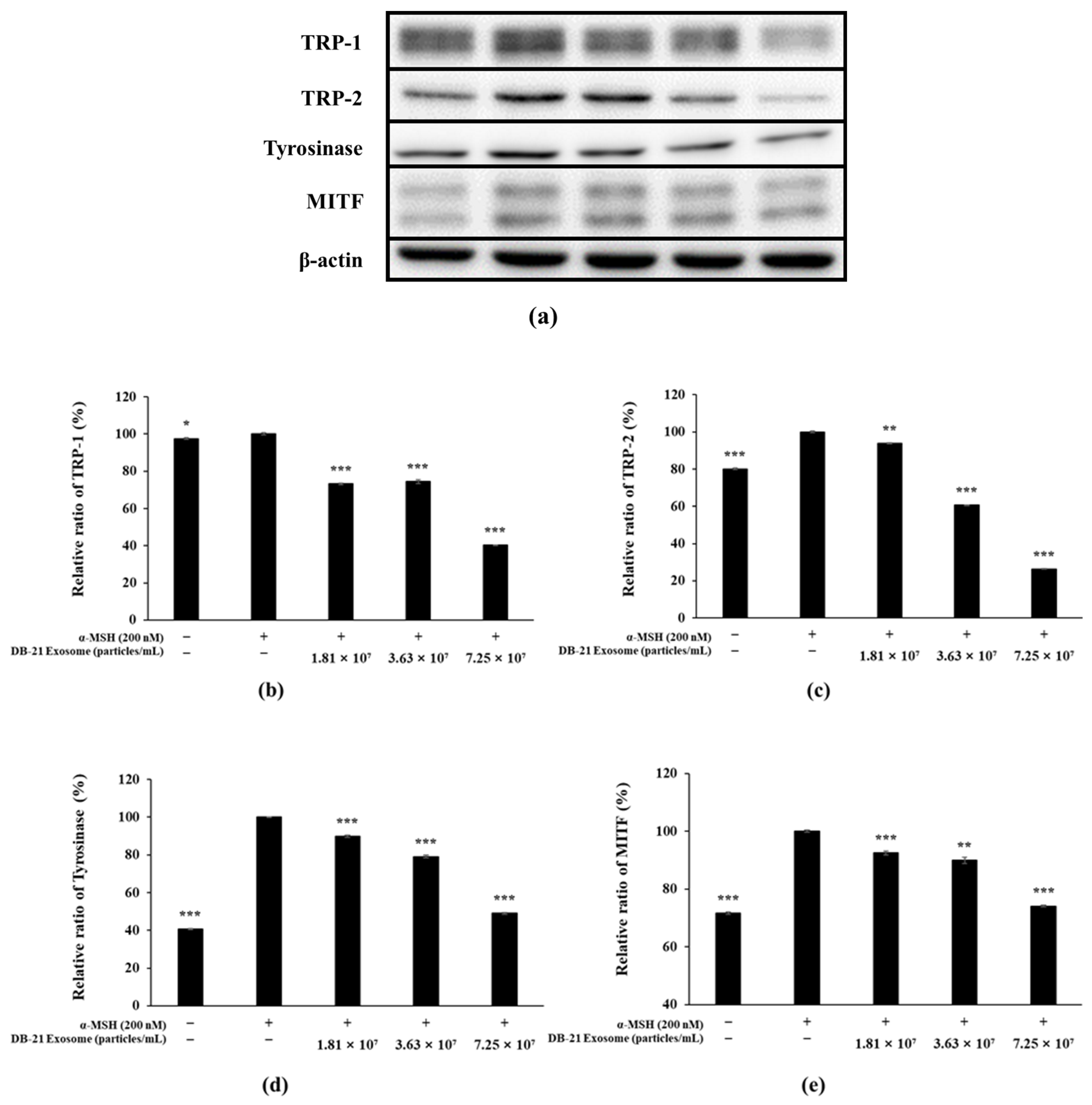 Molecules 30 01124 g009