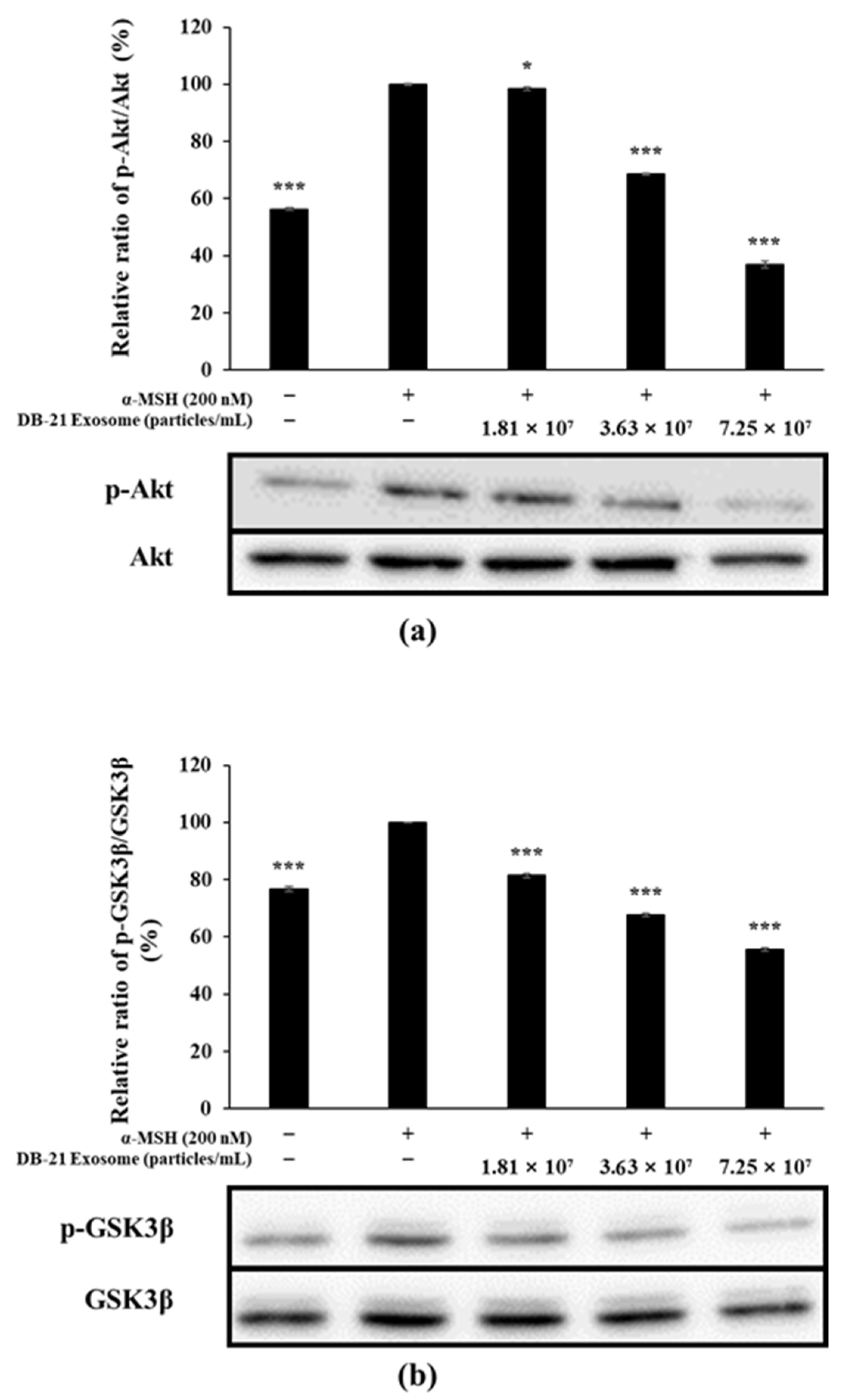 Molecules 30 01124 g011