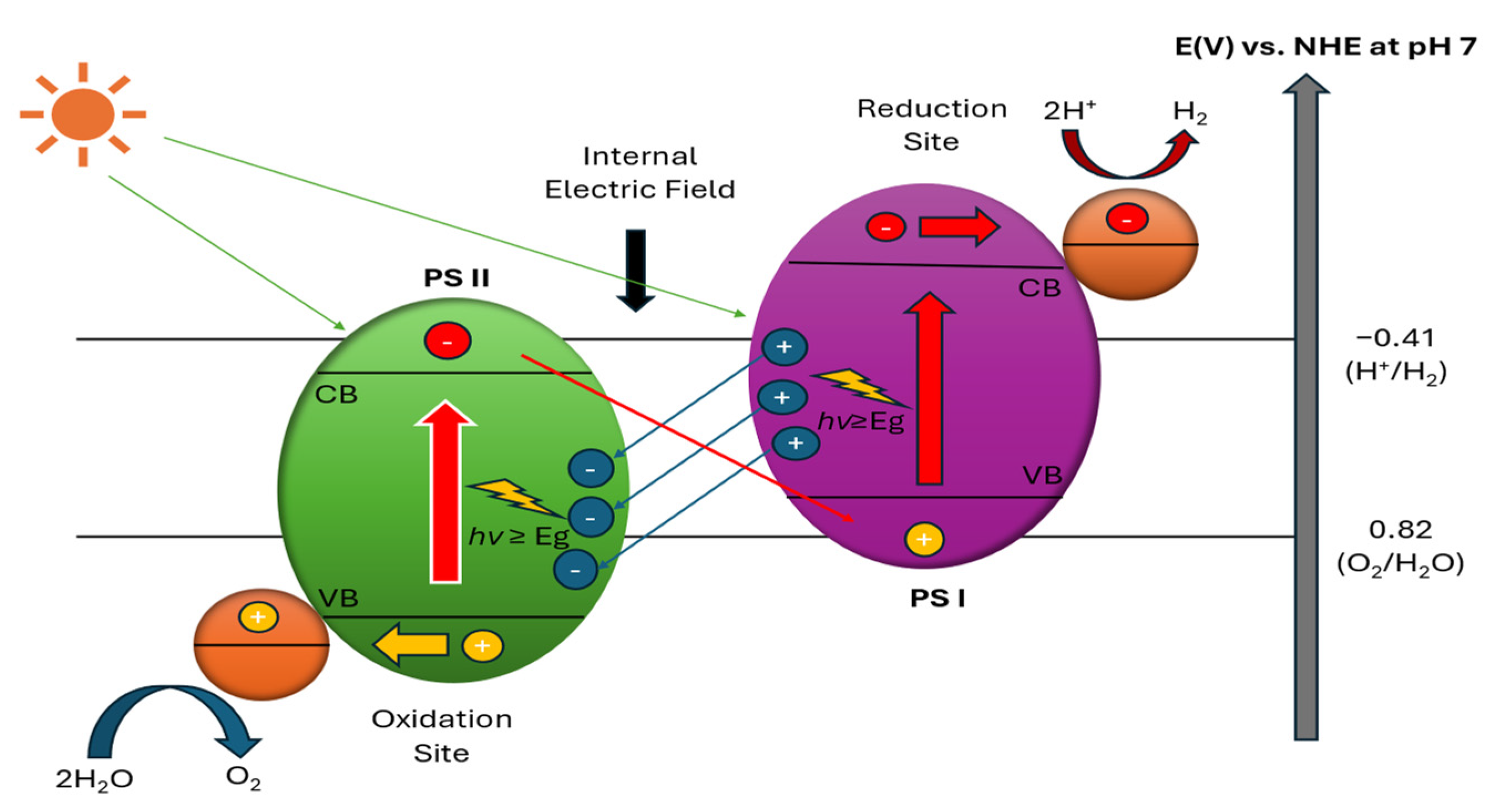 Molecules 30 01127 g003