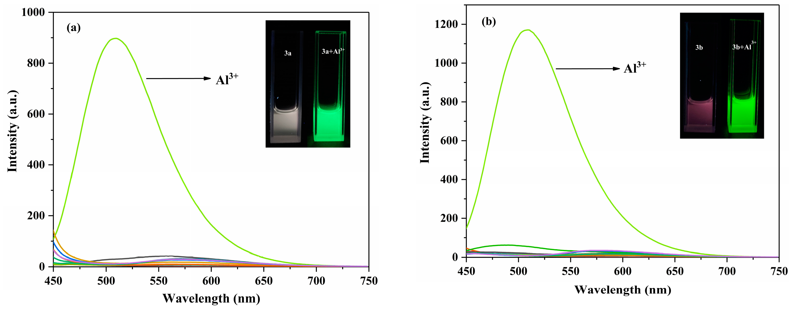 Molecules 30 01128 g007