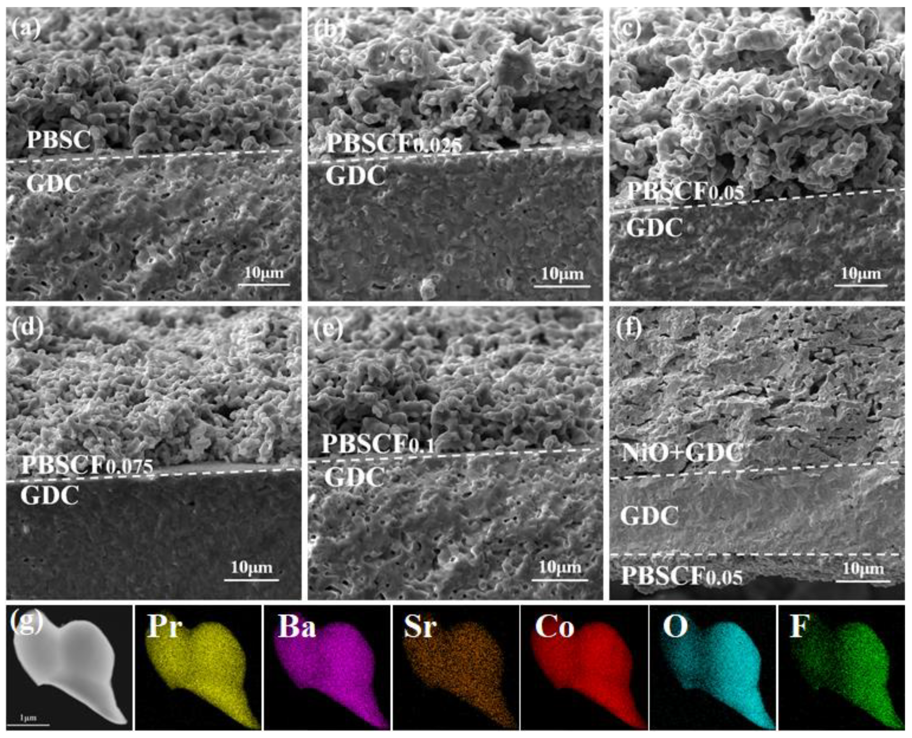 Molecules 30 01140 g002
