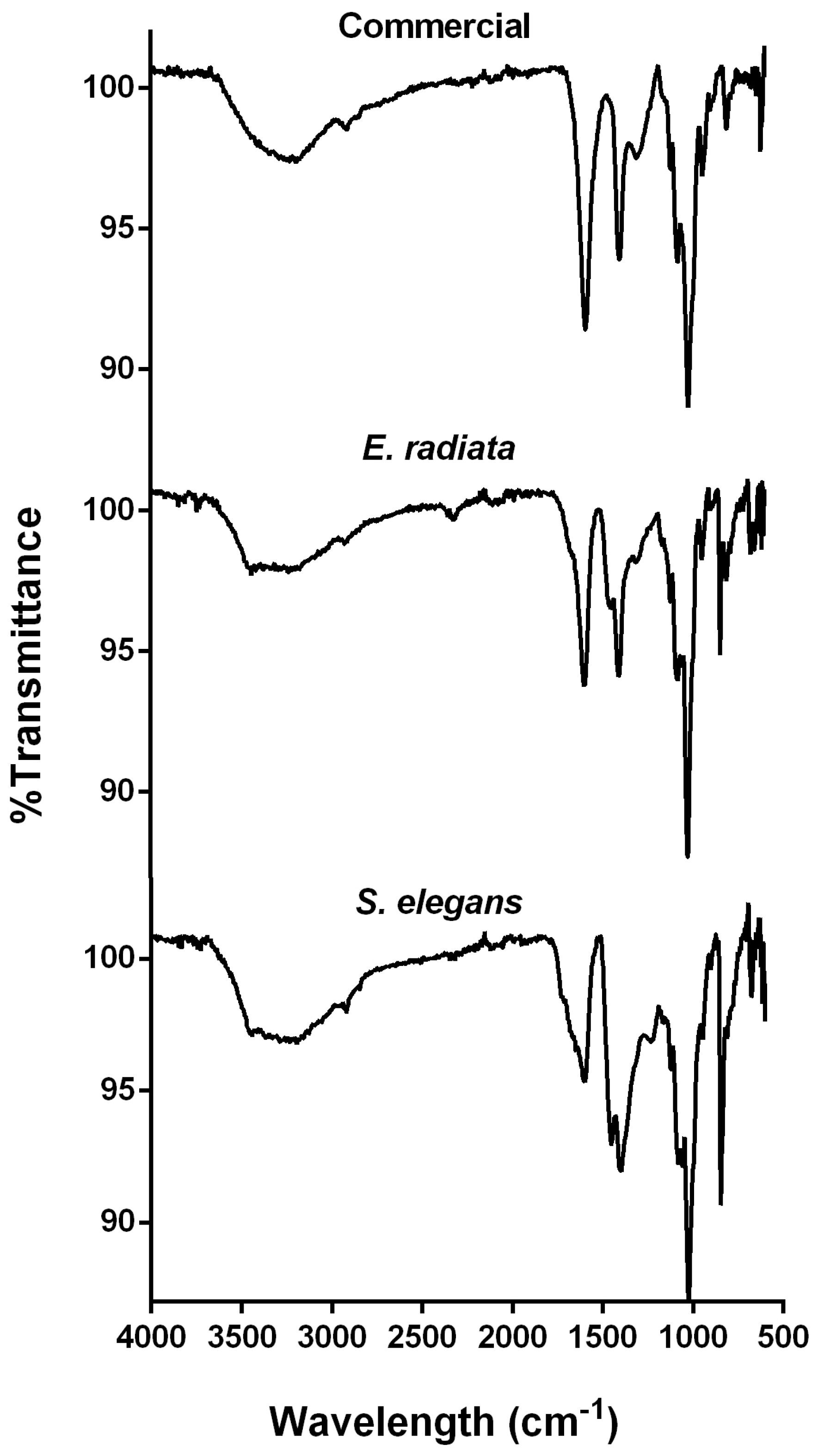Molecules 30 01155 g002 Molecules 30 01155 g002
