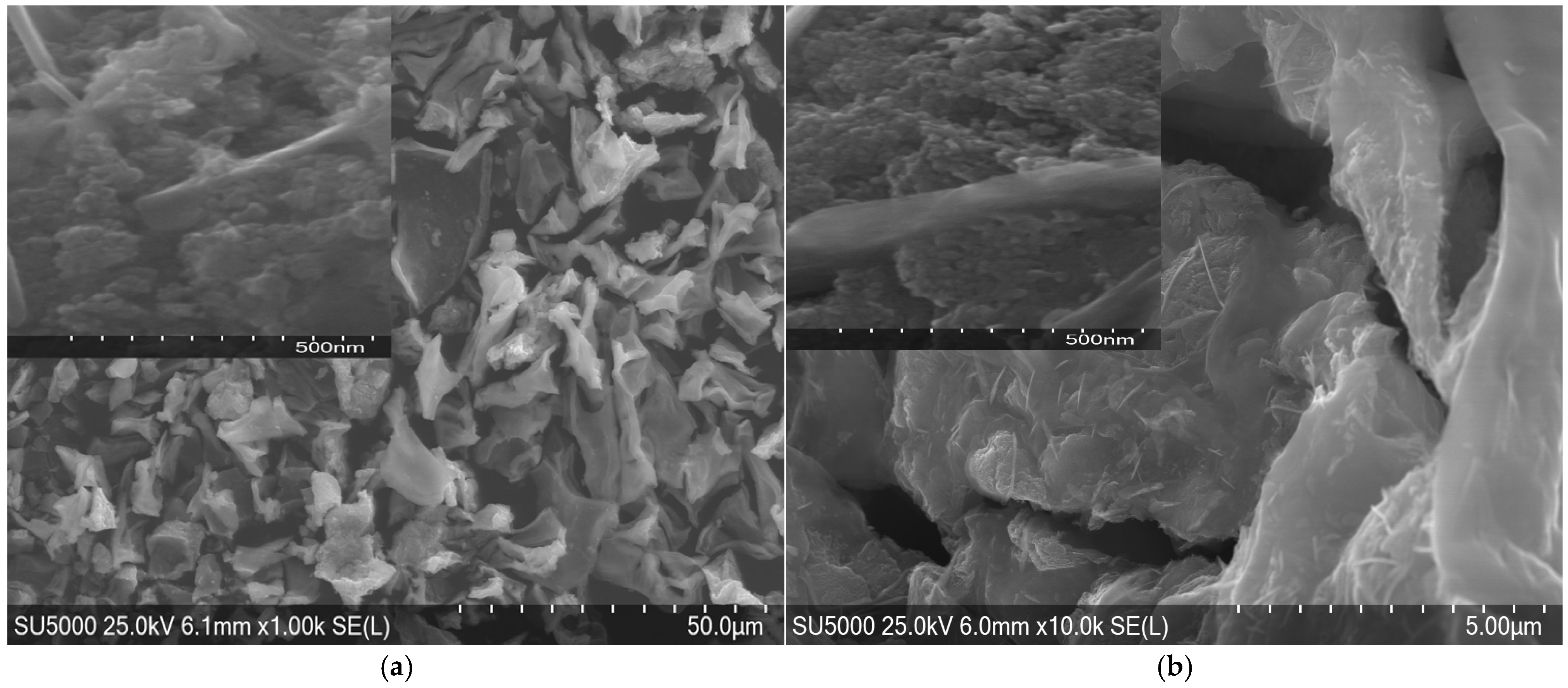 Molecules 30 01164 g005