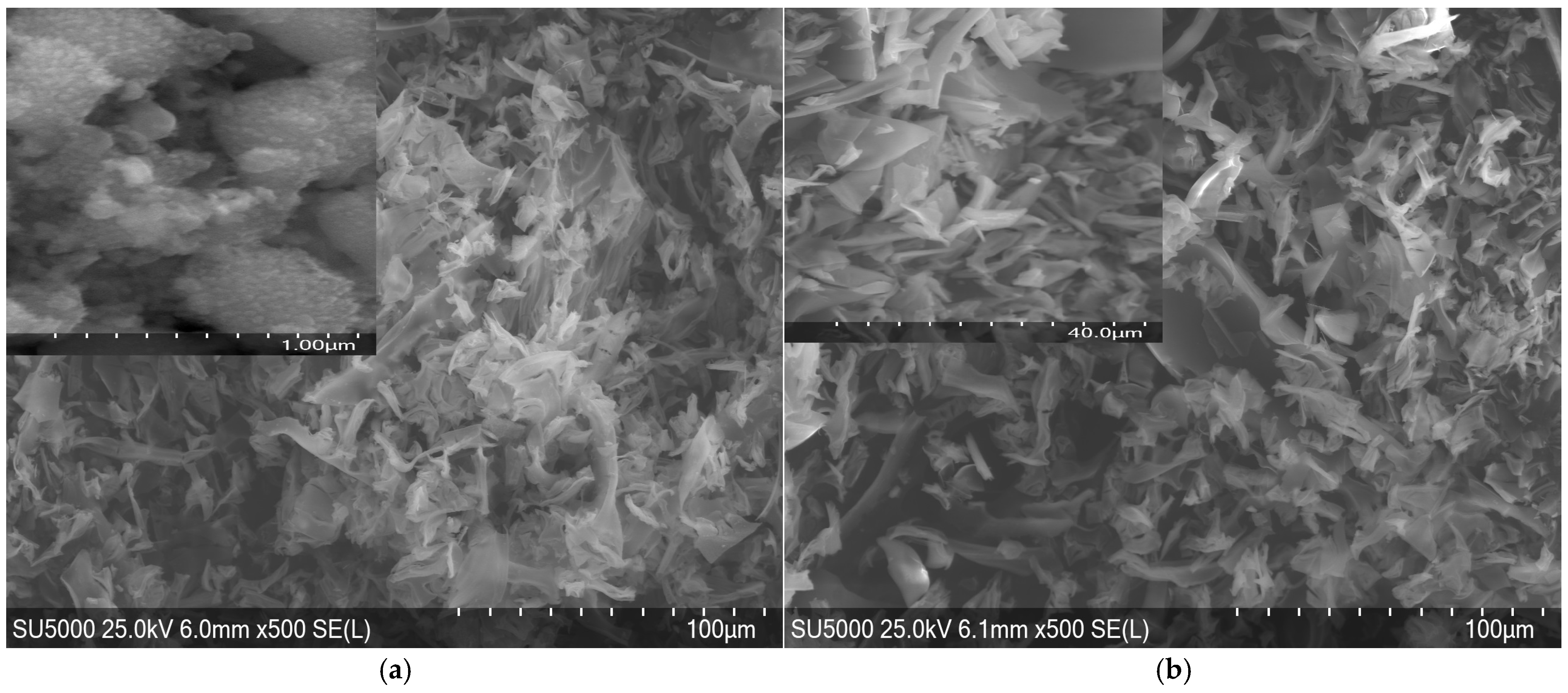 Molecules 30 01164 g006