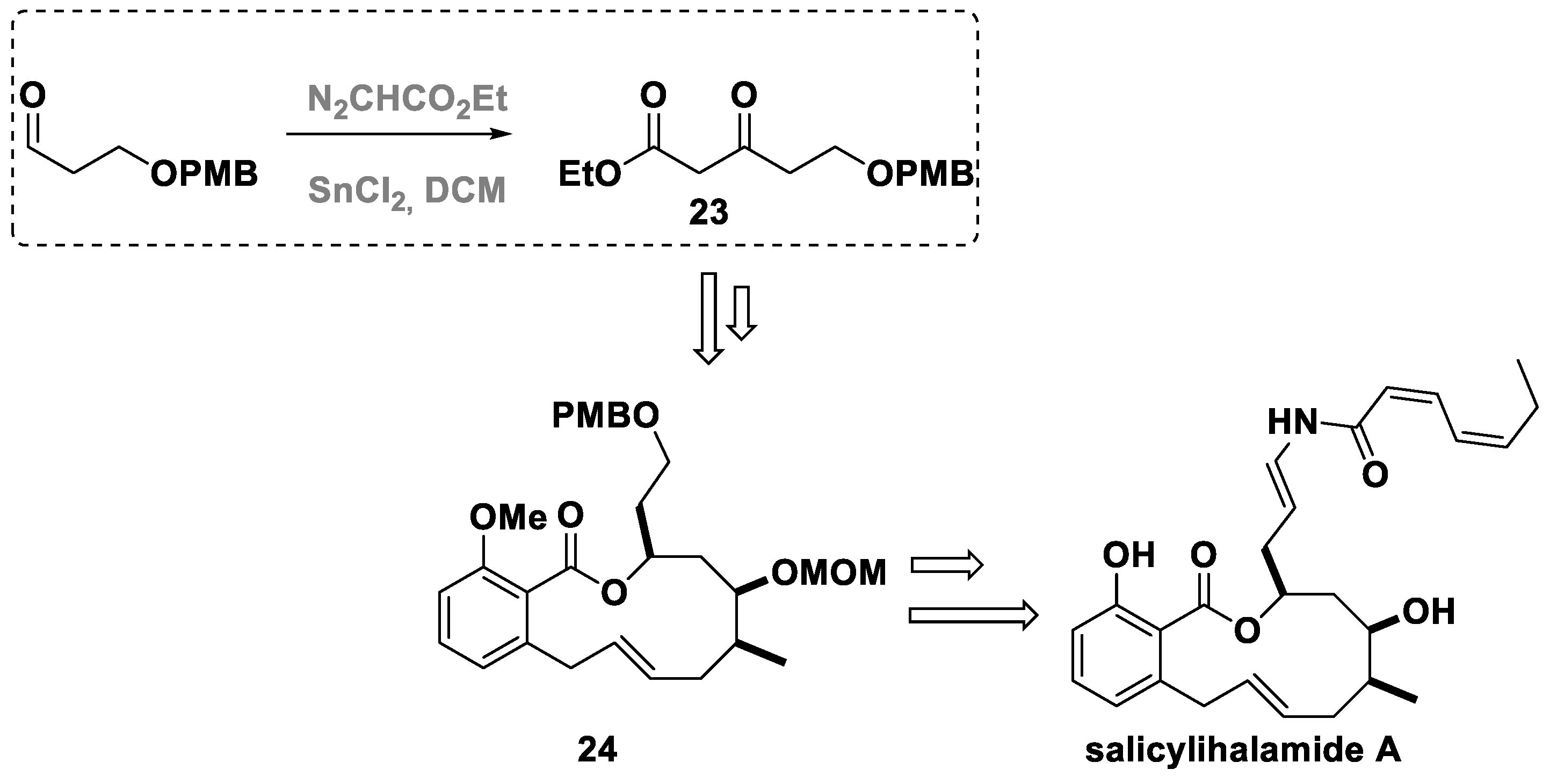 Molecules 30 01192 g019