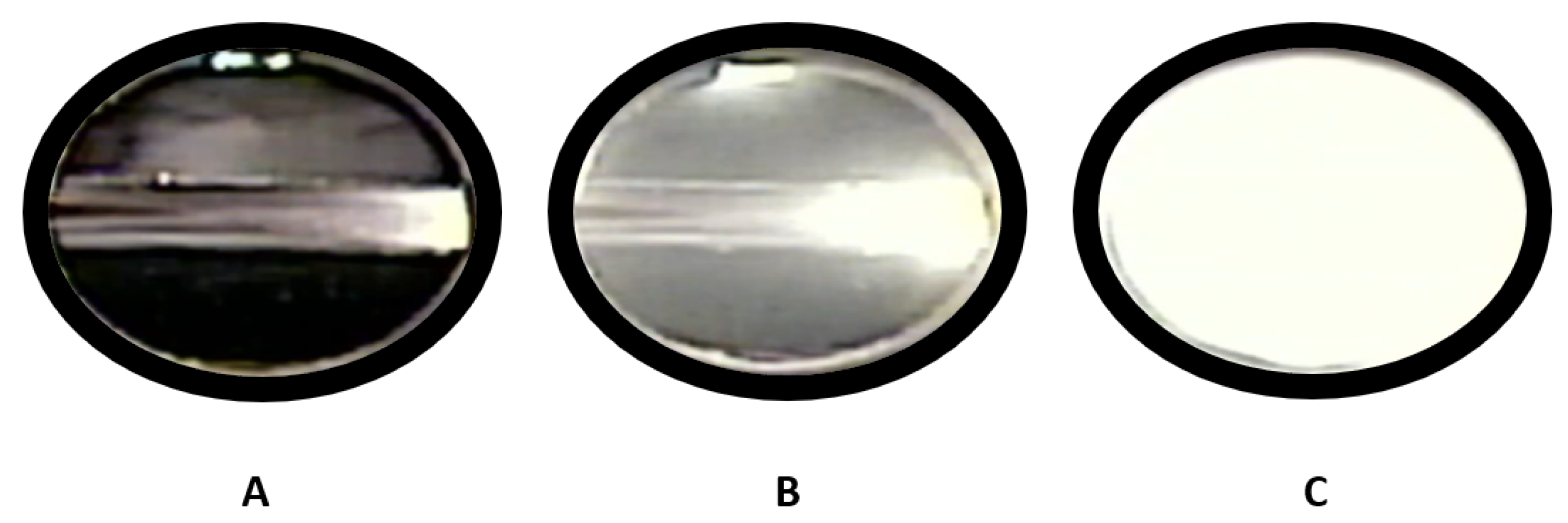 Molecules 30 01199 g007