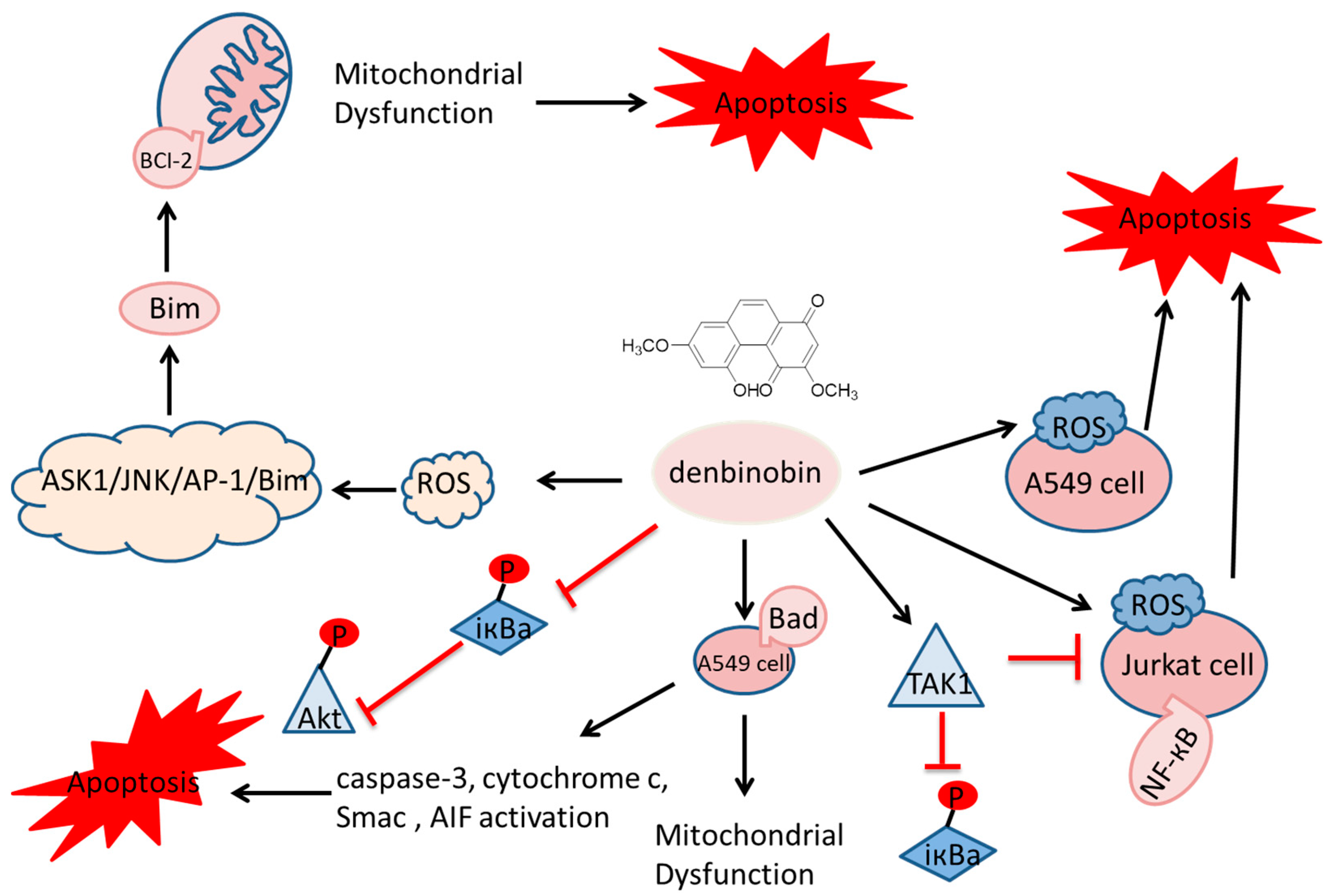 Molecules 30 01204 g002