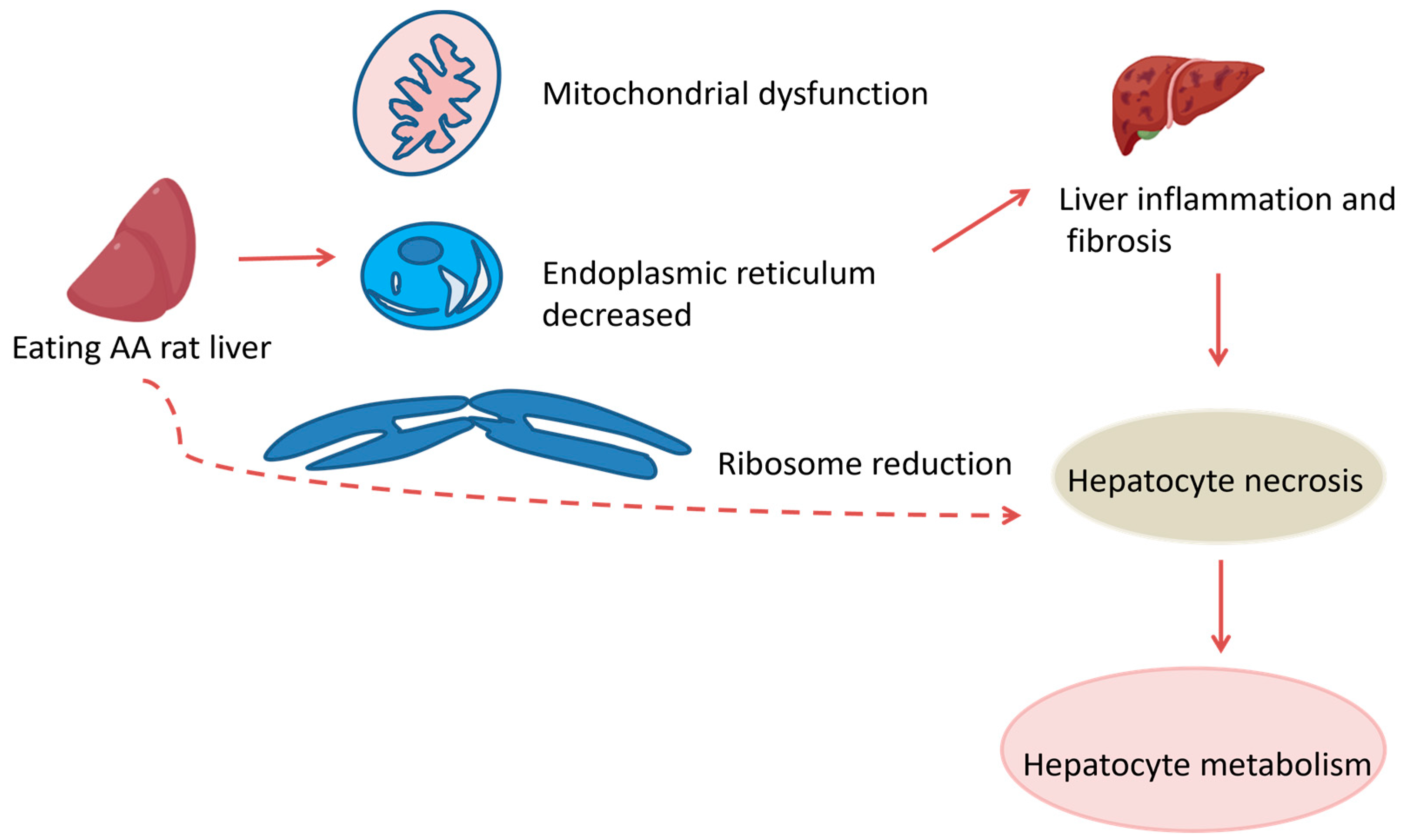 Molecules 30 01204 g024