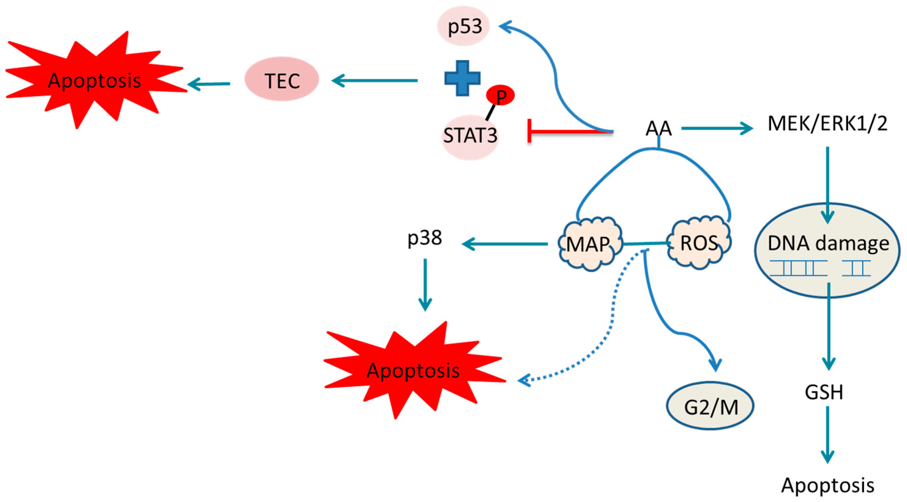 Molecules 30 01204 g026