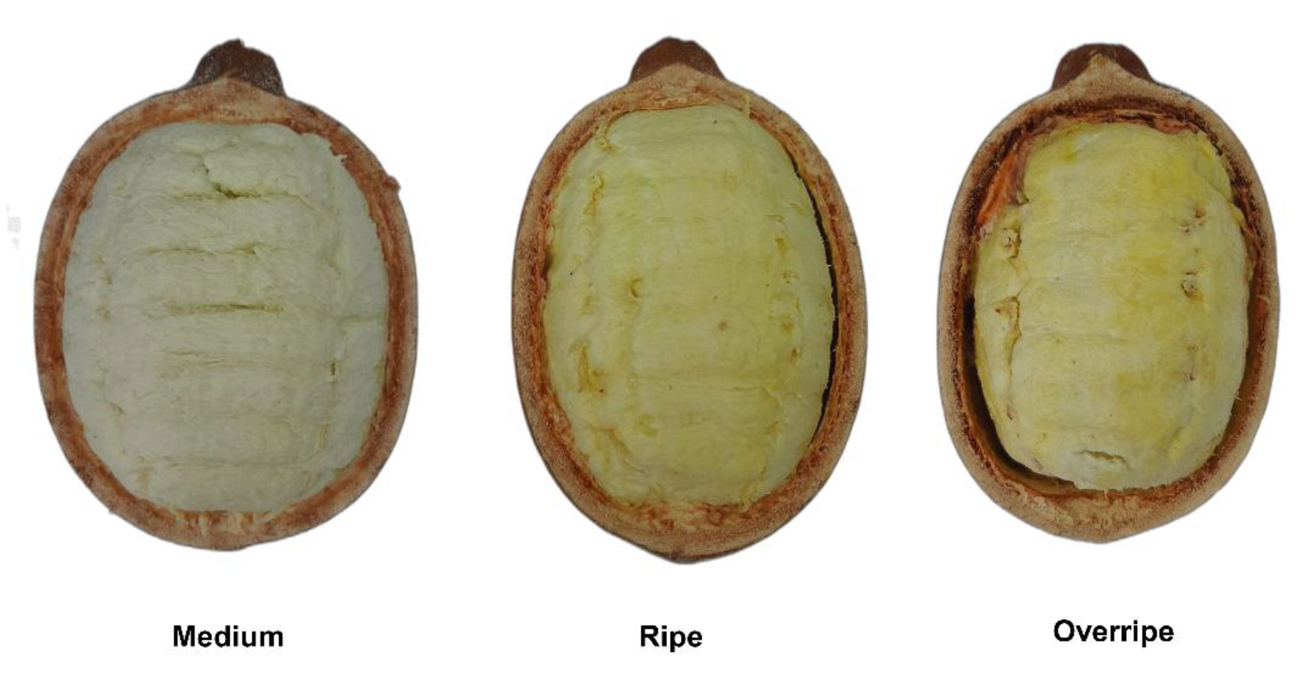 Molecules 30 01209 g002