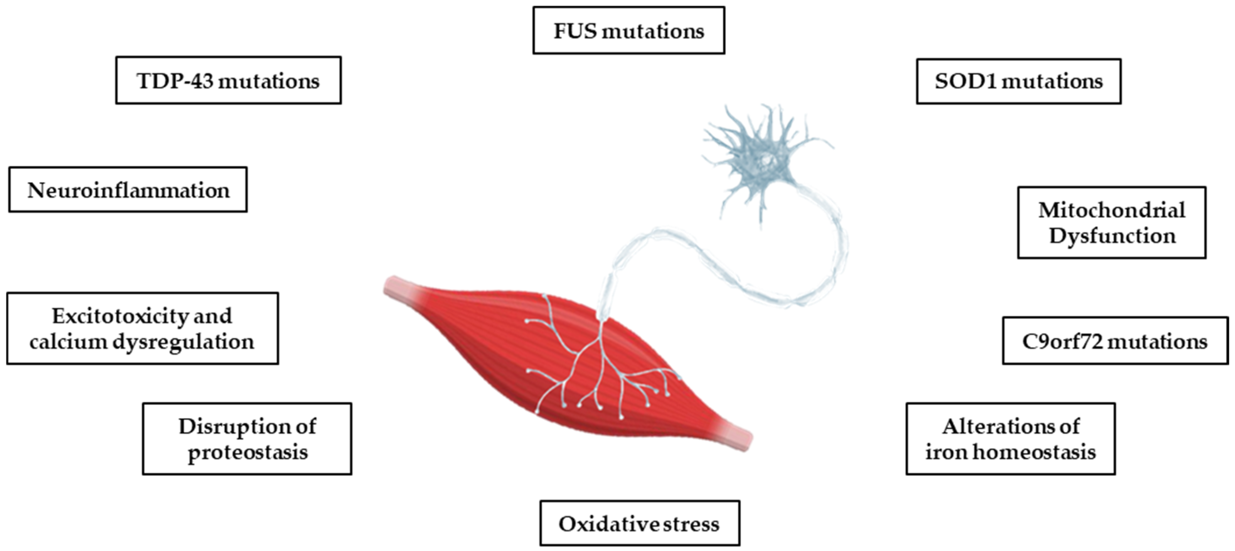 Molecules 30 01211 g001
