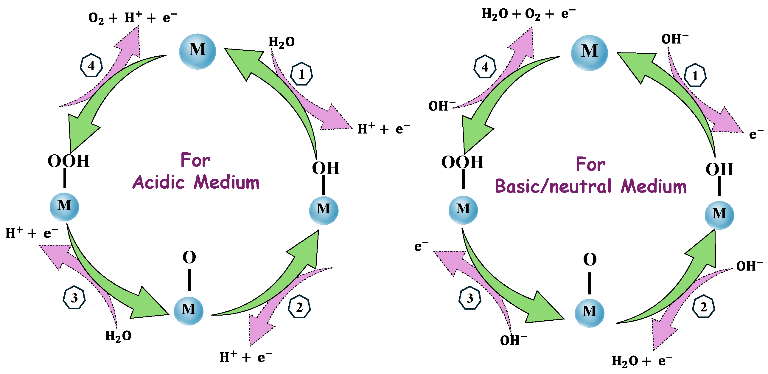 Molecules 30 01212 g011 Molecules 30 01212 g011