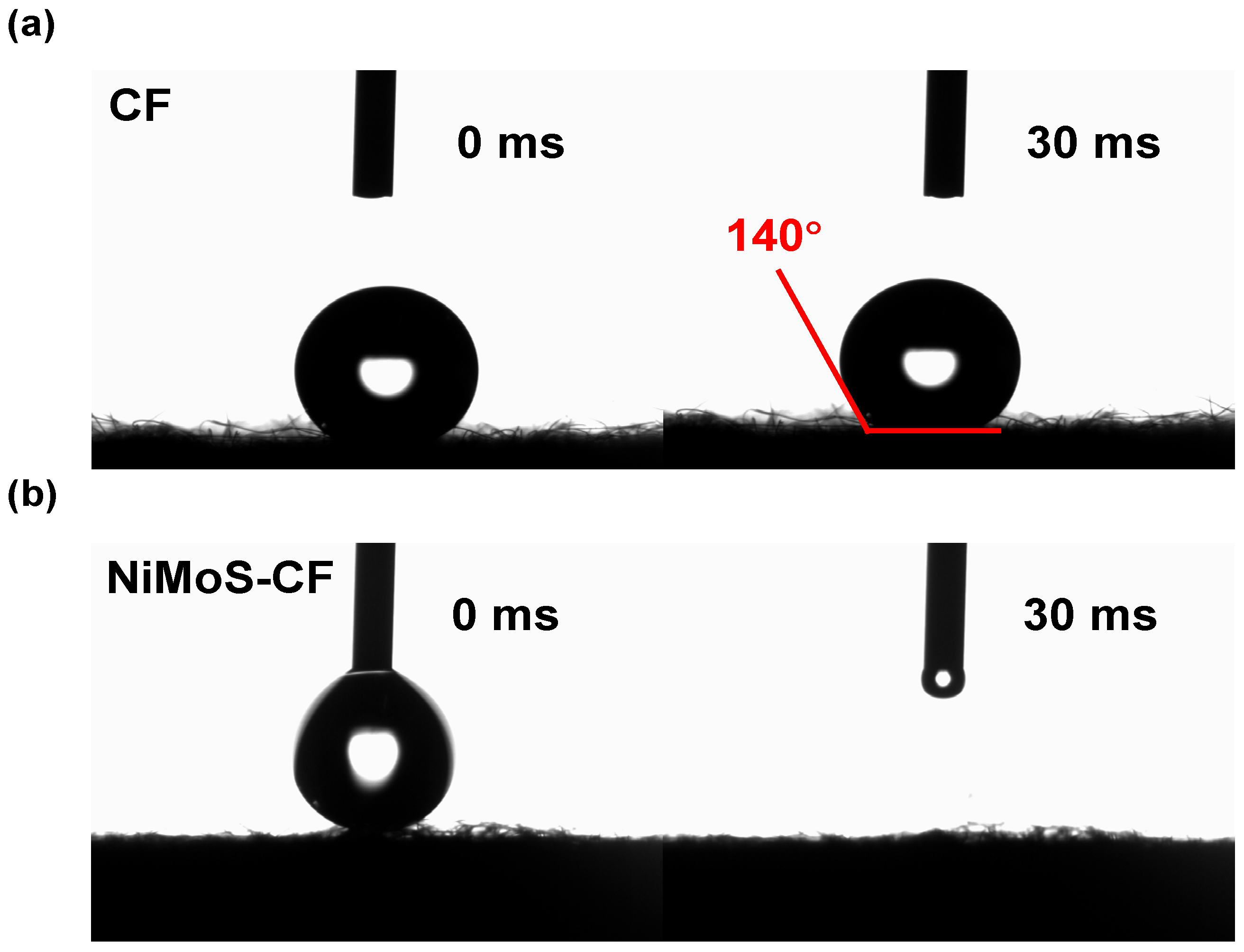 Molecules 30 01219 g003
