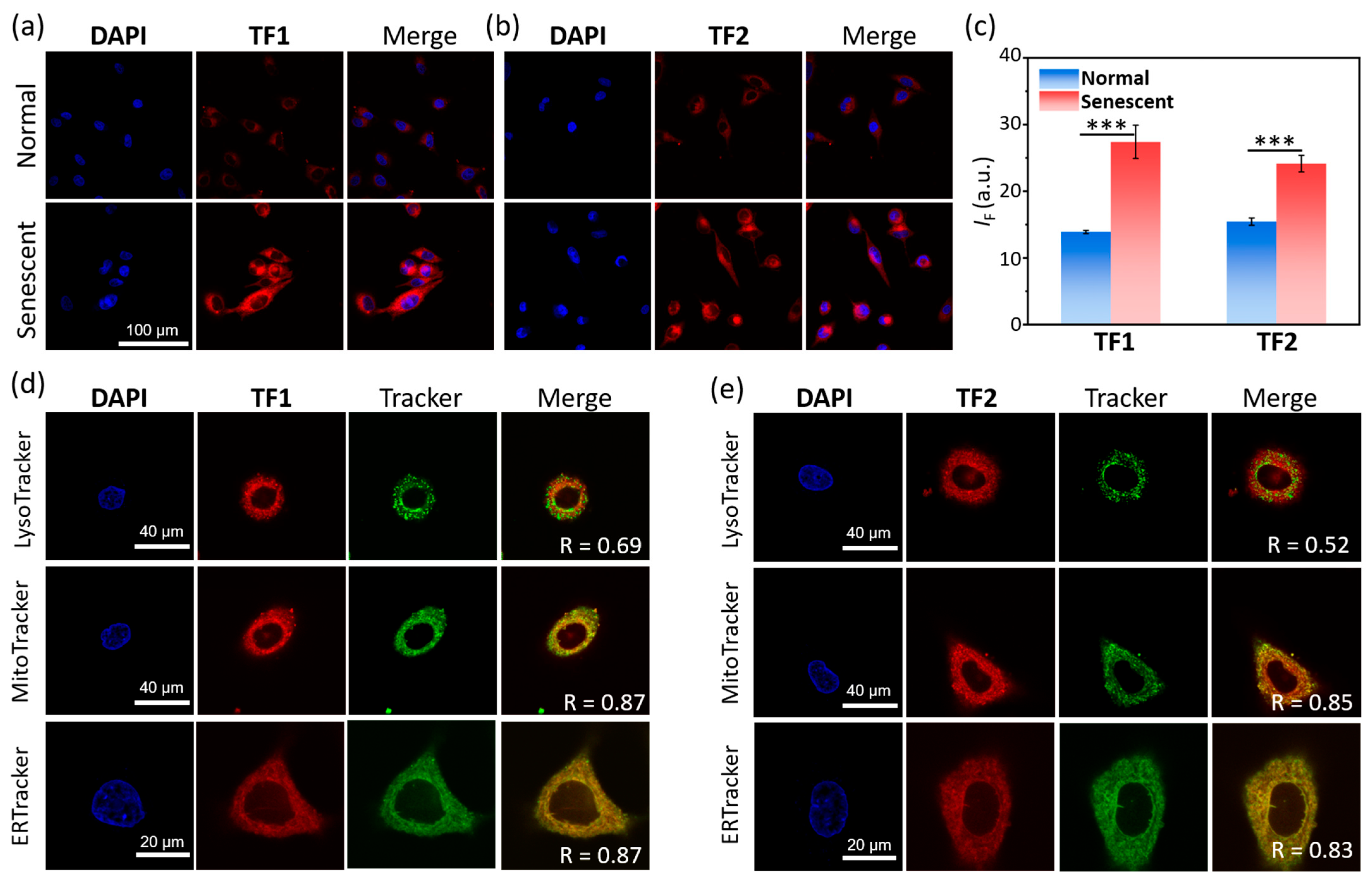 Molecules 30 01221 g005