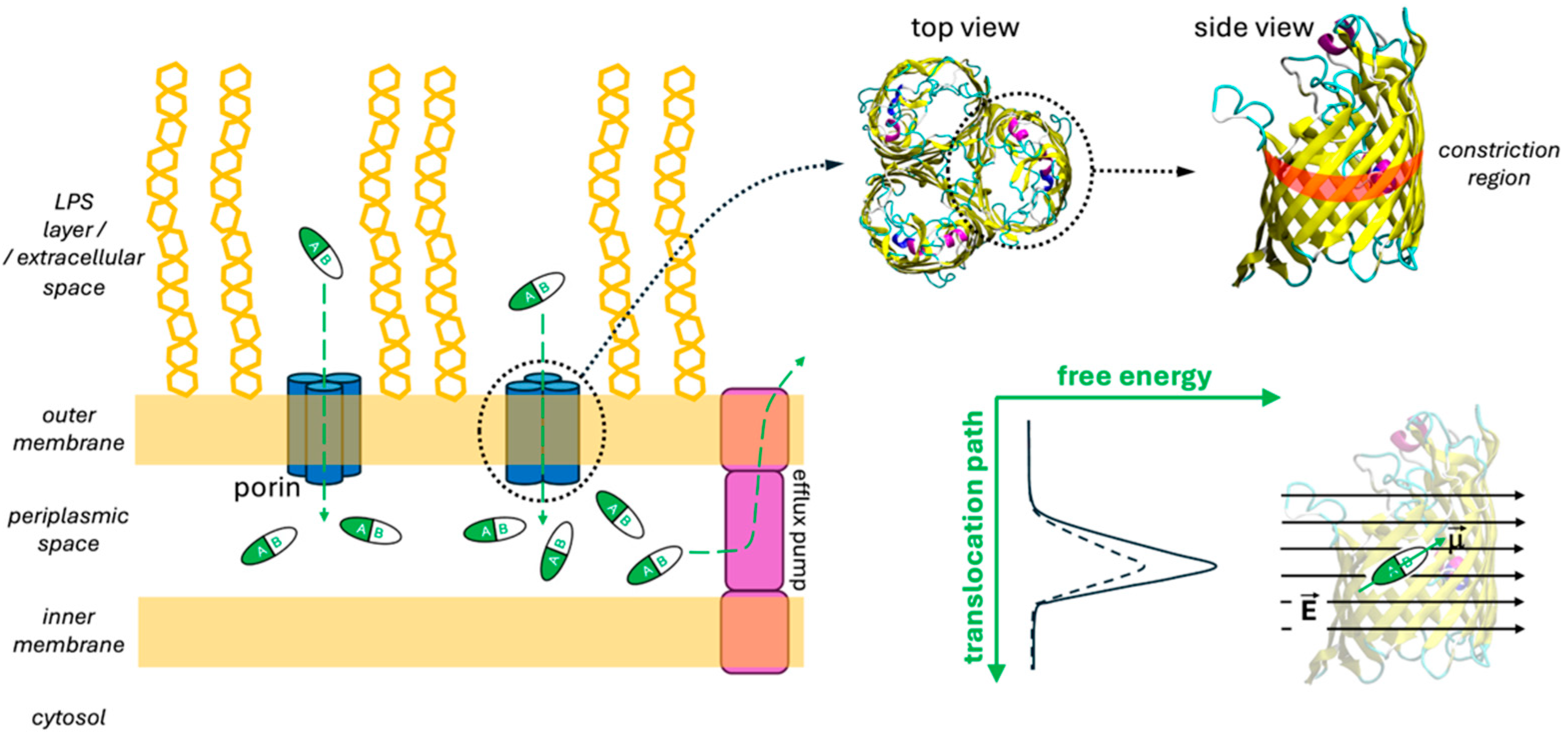 Molecules 30 01224 g001