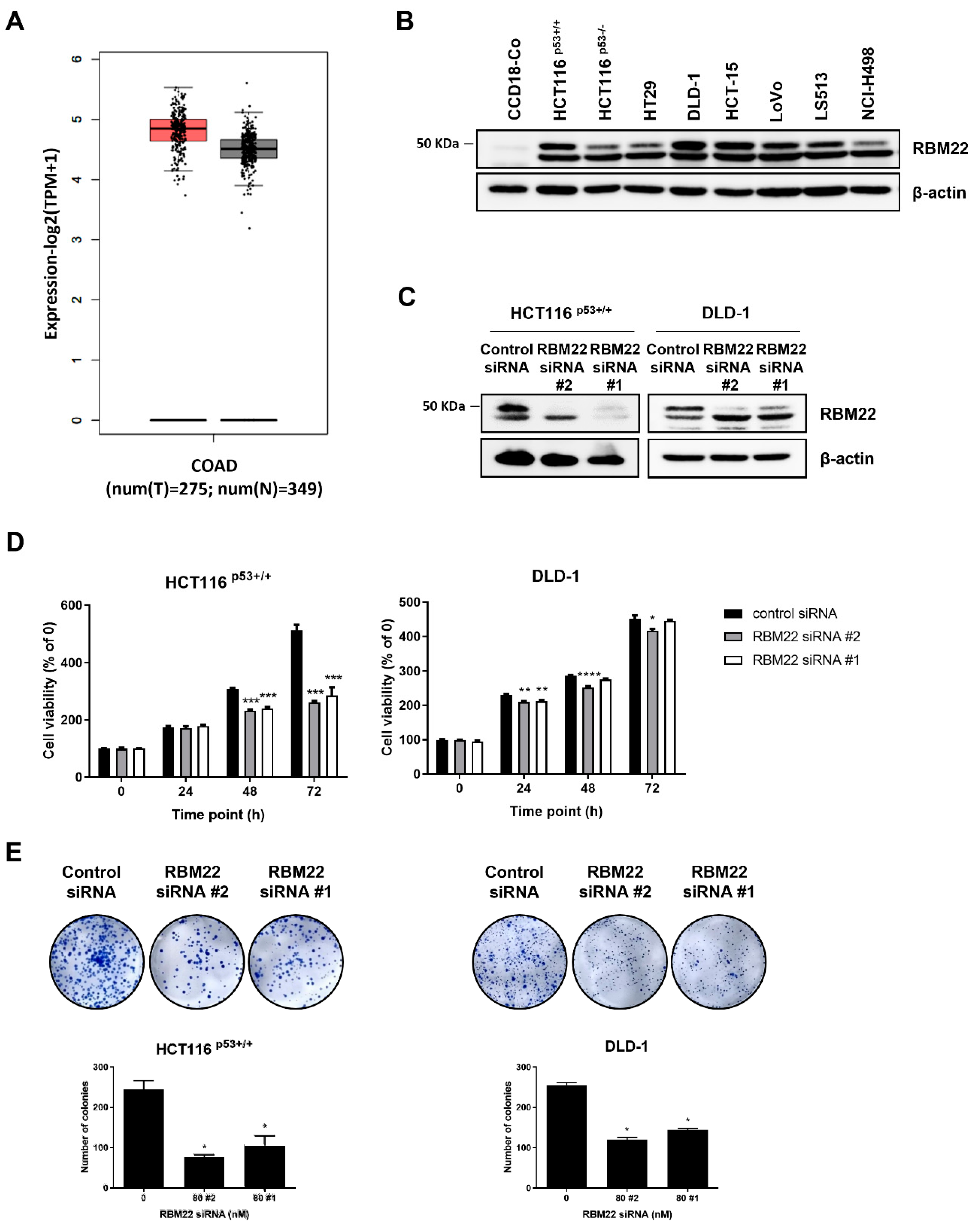 Molecules 30 01227 g001