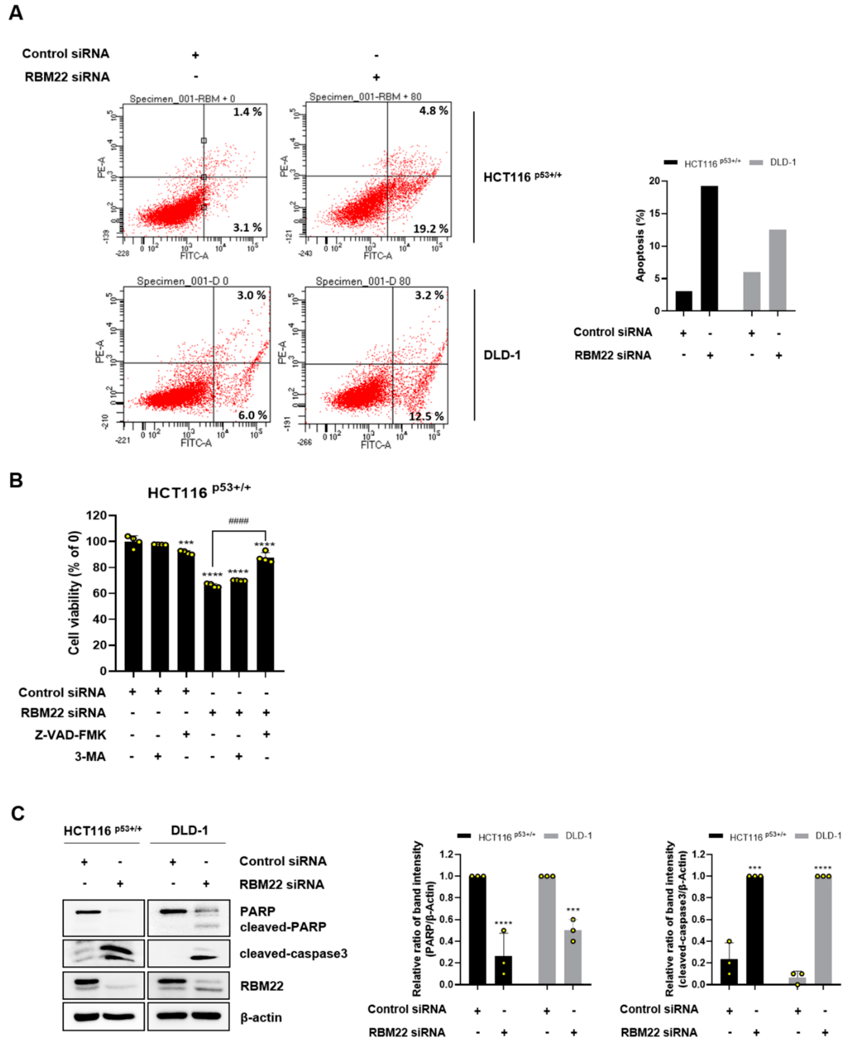 Molecules 30 01227 g002