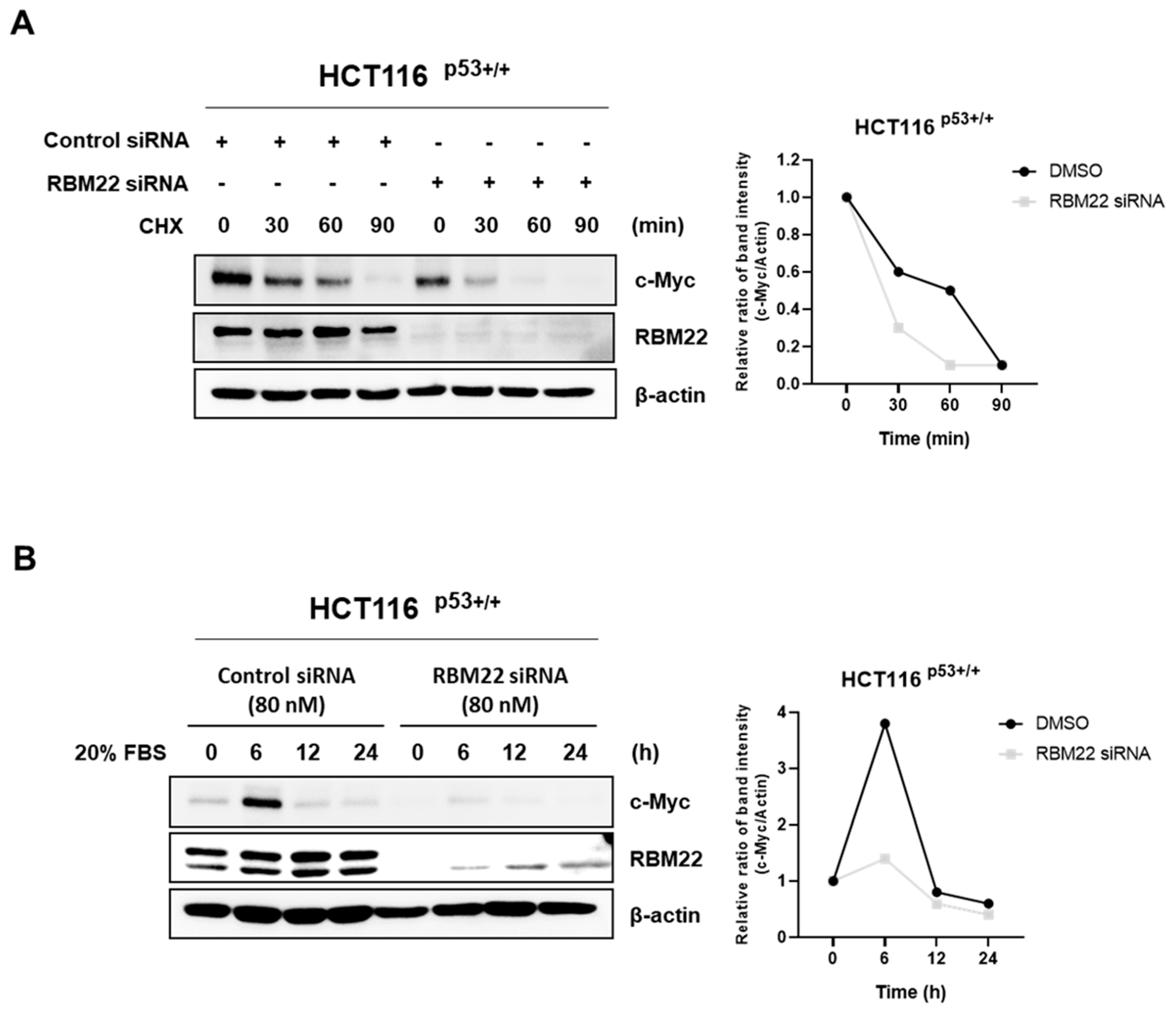 Molecules 30 01227 g005