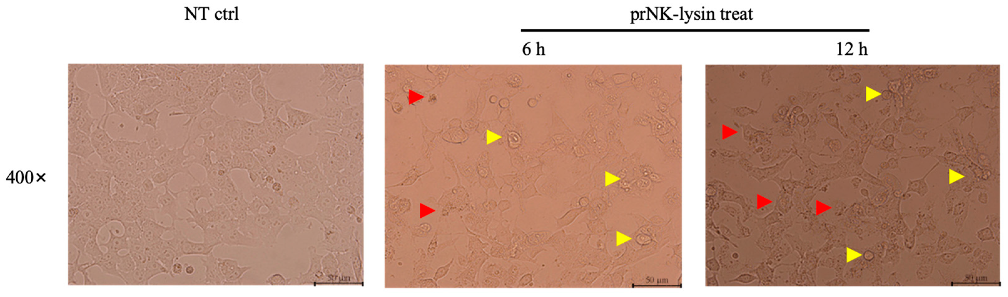 Molecules 30 01234 g004